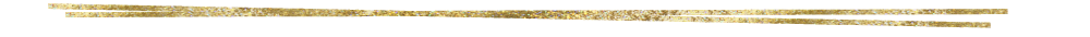 Intuitive website designer double gold dividing line
