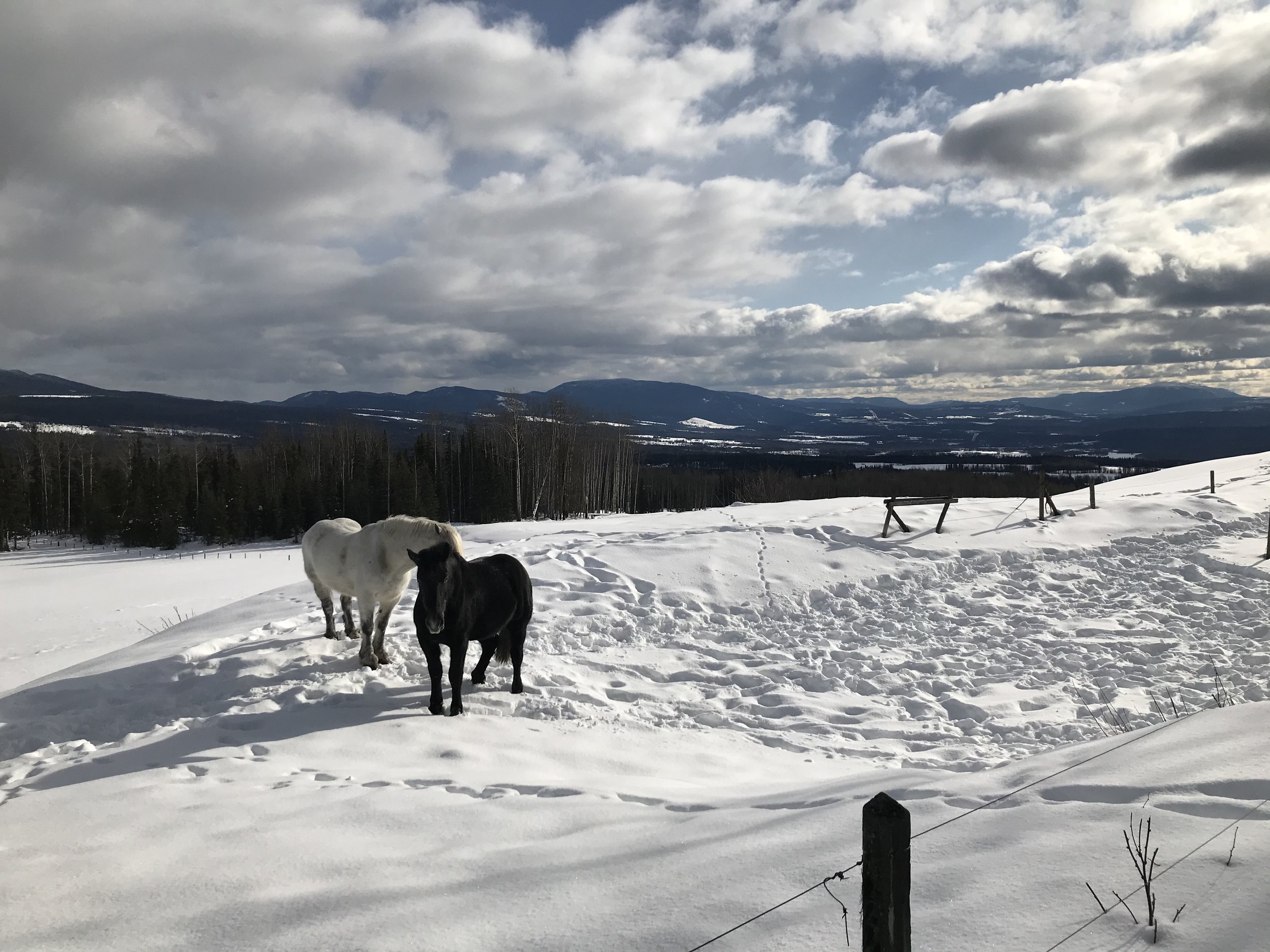 Feb 17, 2020 - Sleigh Ride Event at B&T Wagon and Sleigh Rides