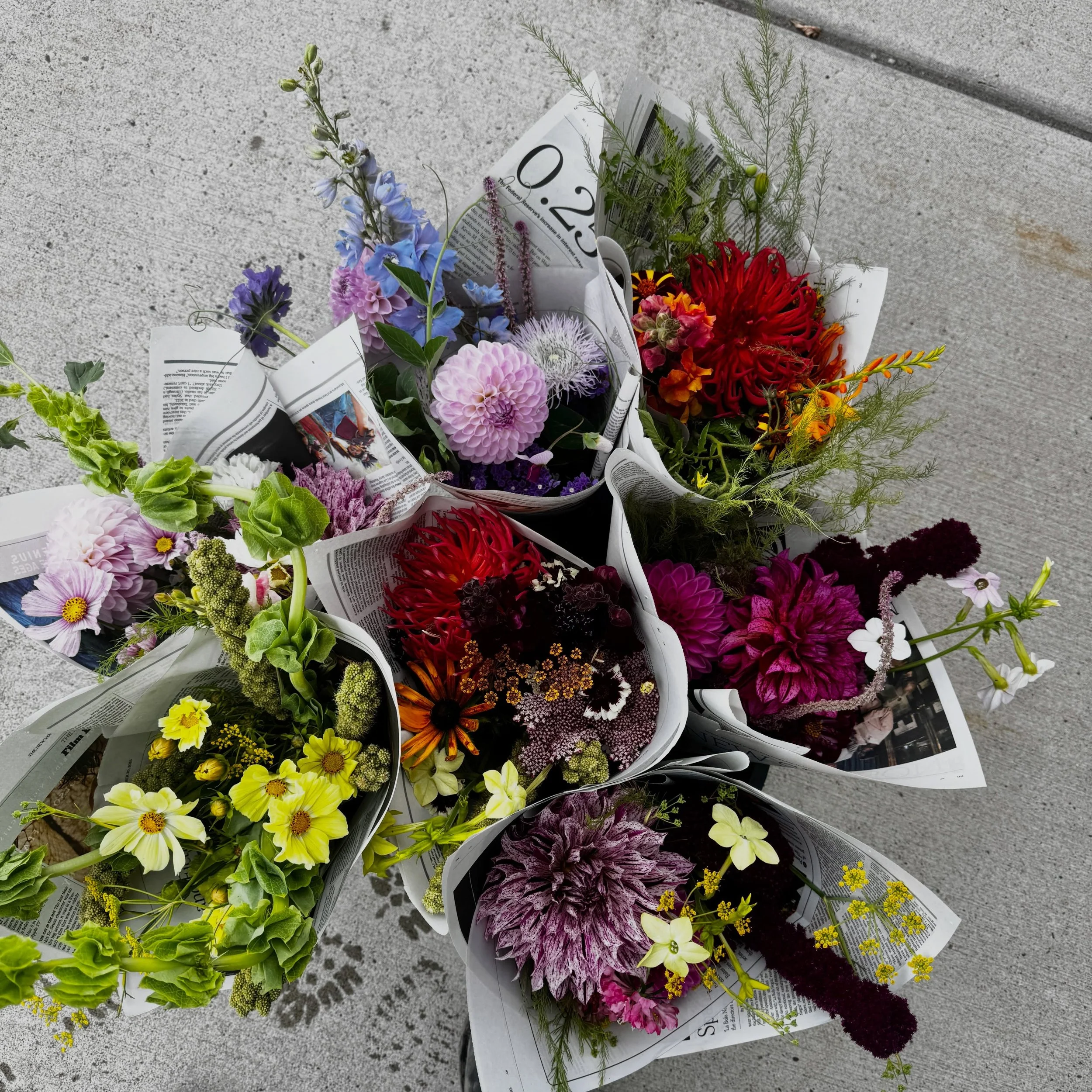 funky dahlia bouquets available at @mischasbozeman and @fattoadsfarmpantry all weeeeeeeeeeek
