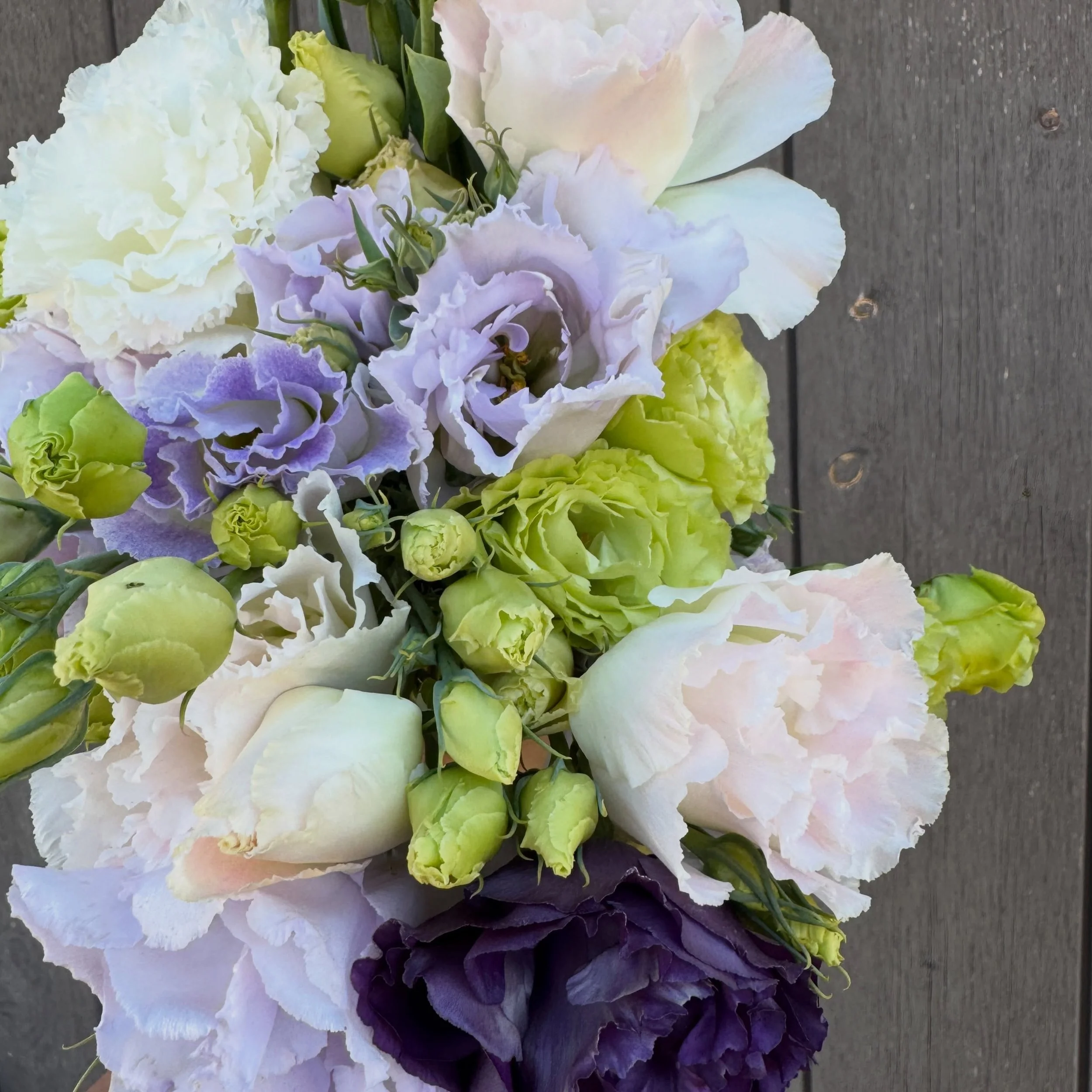 Live, love, lisianthus peaking in October *cries in seeds started in january*