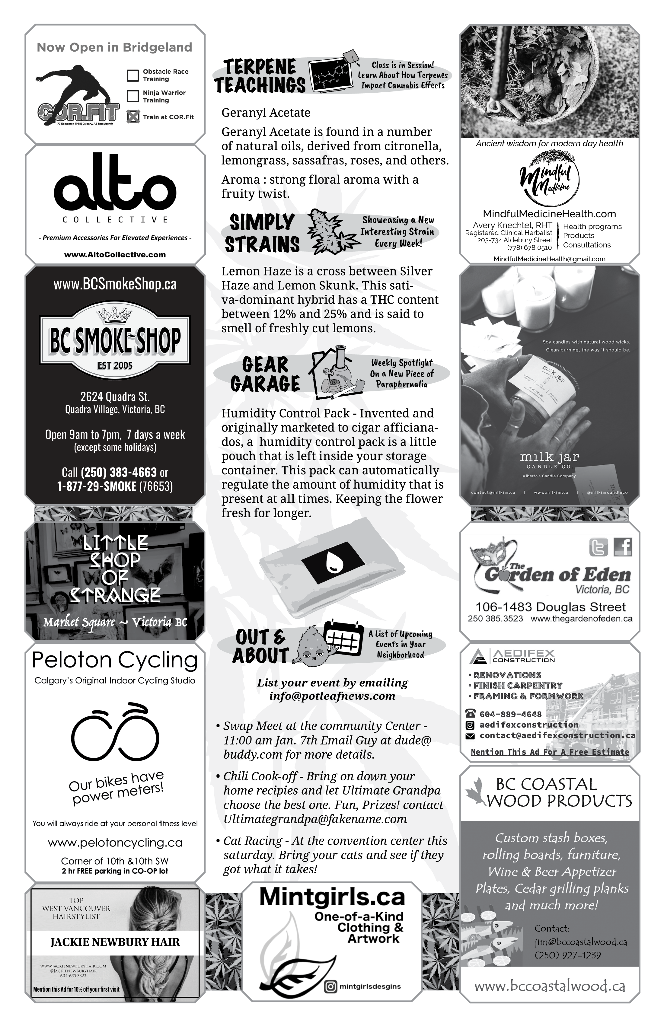 PLN Burlington EXAMPLE W ADS2.png