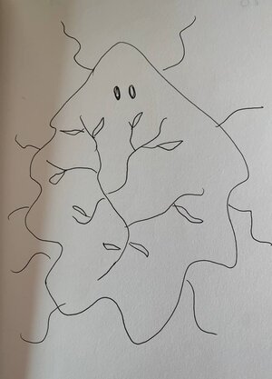 64.jpg