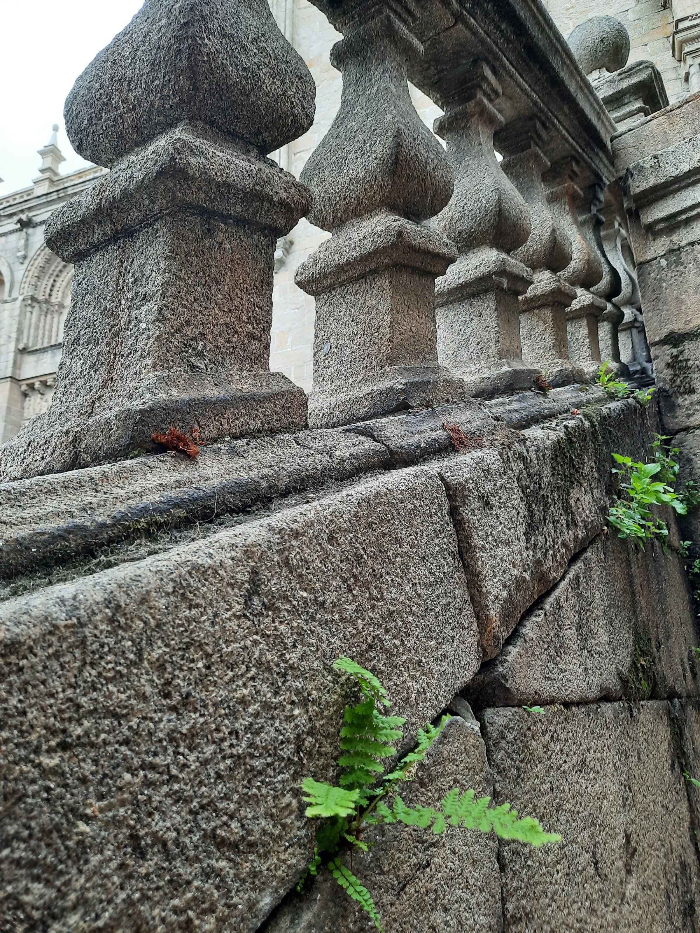 Mario Diez: "La dificultad es la motivación"