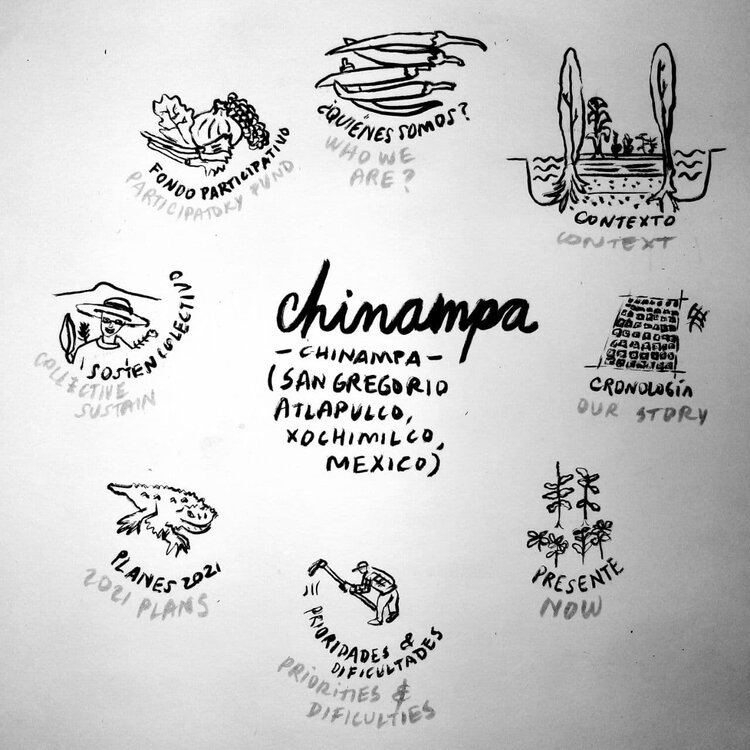 chinampa9.jpeg