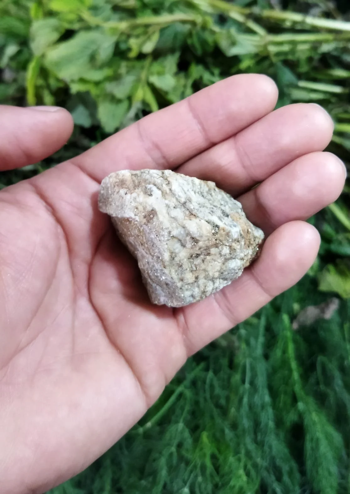 Alejandro Cevallos " se trata del corazón de una piedra, que una mujer sanadora me contó se usa para preparar un remedio para sanar la tristeza del corazón. [Representa] : El compromiso de re-conocer y re-crear memorias propias (andinas) para aprende