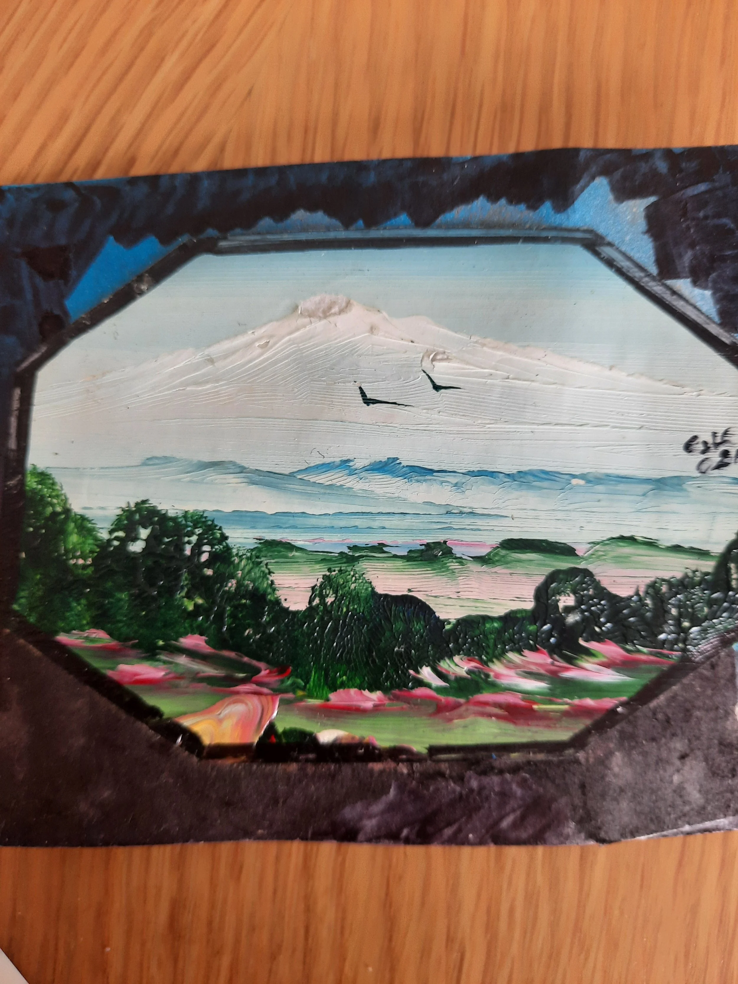 Valeria Gutiérrez : "Es una imagen sobre navegar lo desconocido, los miedos. Navegar cuesta arriba es navegar la soledad y de sorpresa verte invadida por familiaridad y alegría. Navegar montañas a pesar del miedo a perderse y caer. Y con todo eso, na