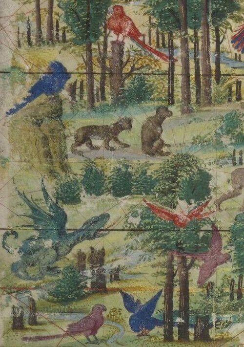 AtlasMiller_BNF_Brasilis_fauna_flora.jpeg
