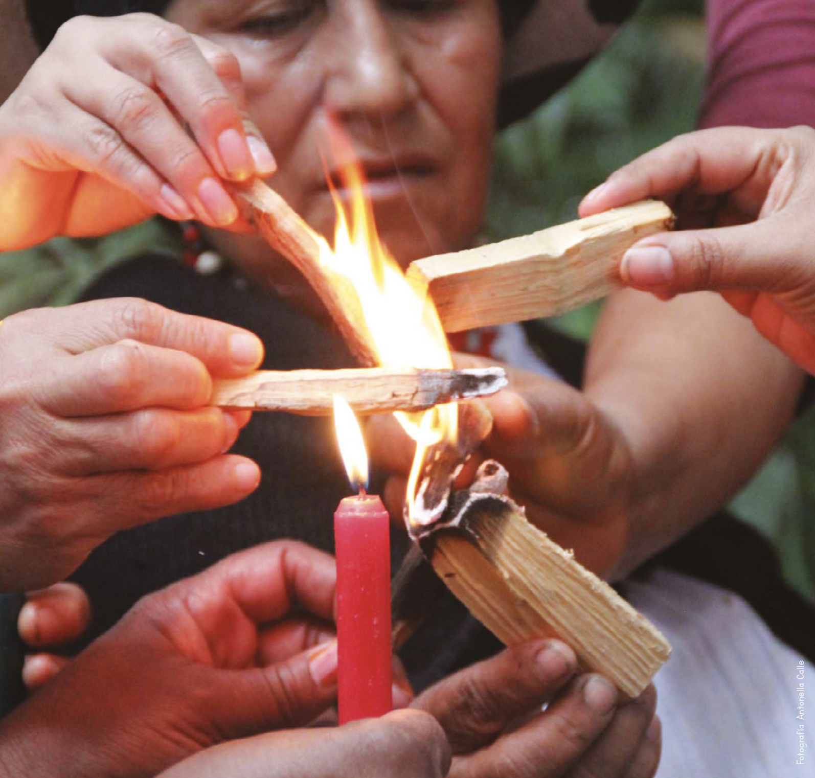 Esperanza Palomino: "Esta imagen representa para mi la idea de construir en colectivo para mantener "el fueguito" encendido. Es un fuego gestador que se sostiene en colectivo."