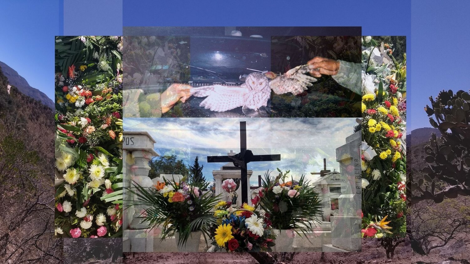 Muerte_SeleneGalindo (1).jpeg