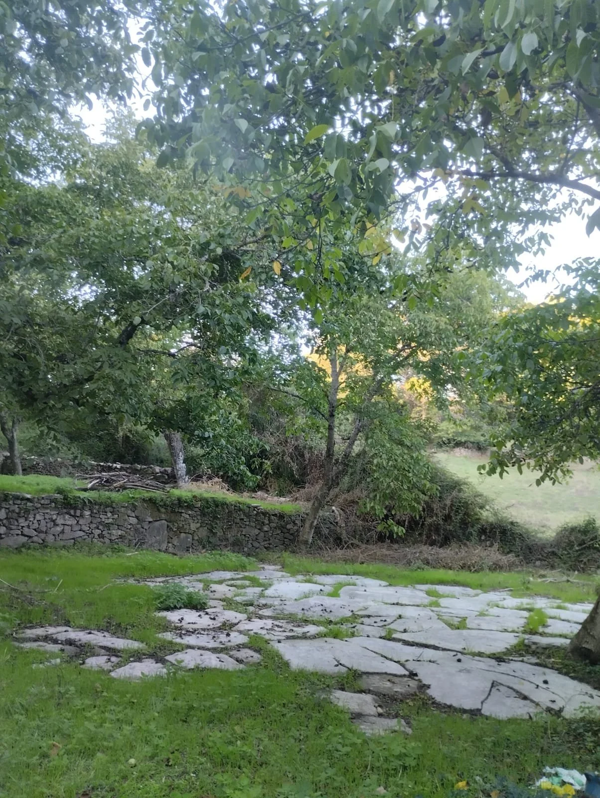 Tania Sánchez: La defensa territorial desde las ruralidades diversas, asumir la reinterpretación del abandono desde lo comunitario.