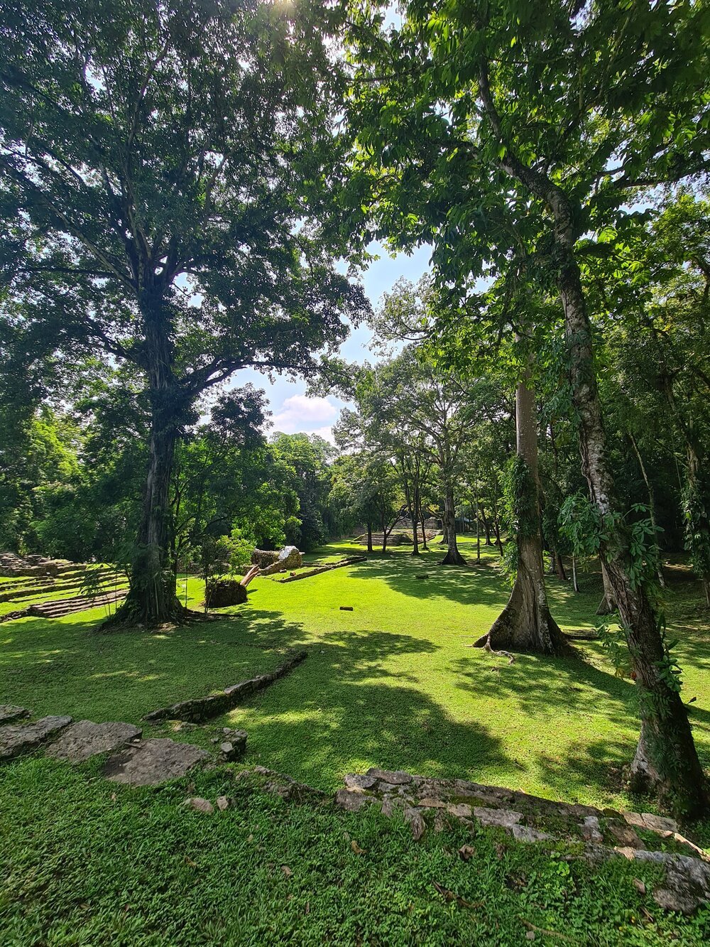 tranquilidad. Yolanda Molina.jpeg