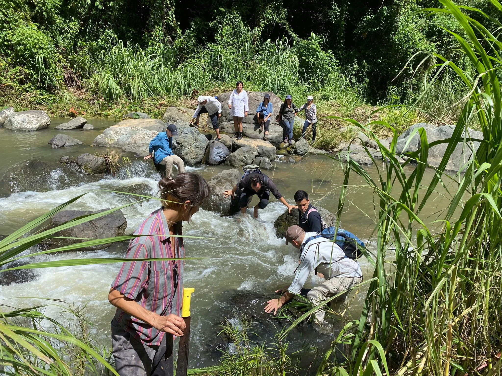 Mauricio Marcin: "Sostener la escucha colectiva para sentir al río y la quebrada en Puerto Rico"
