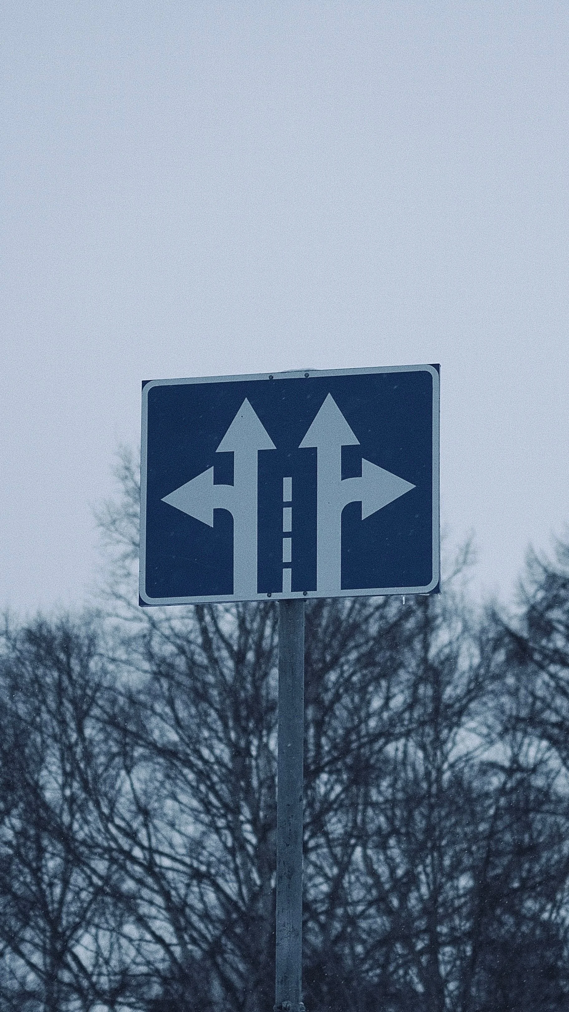 The Reality of Change and Why It Is Hard