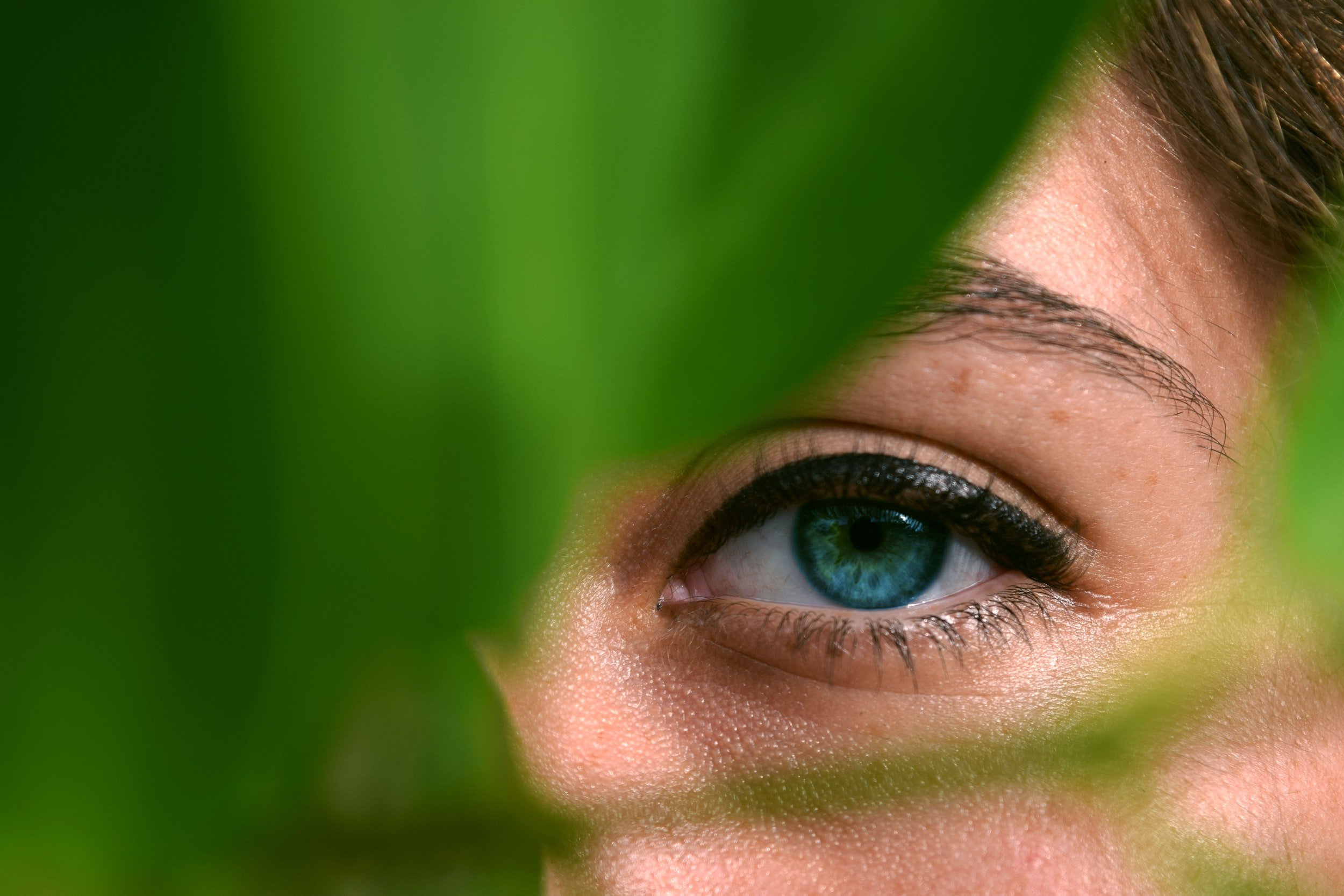 Regain Your Clarity