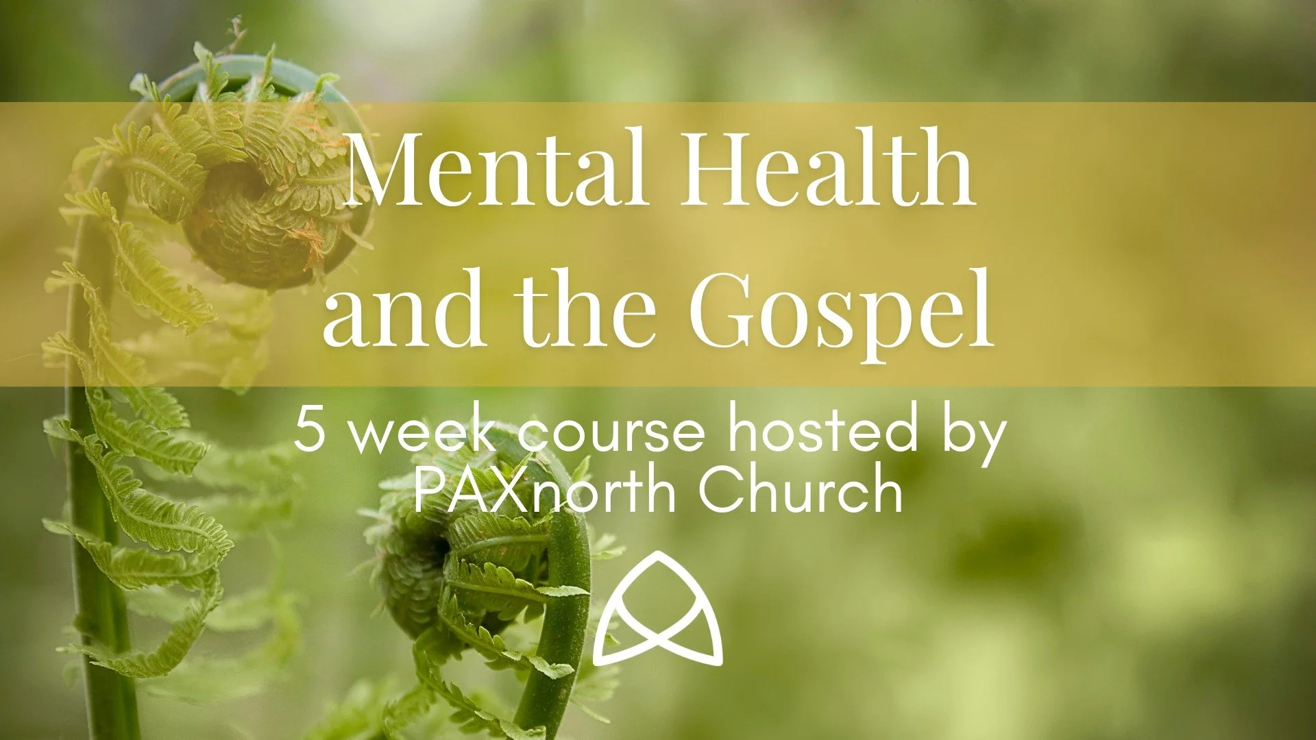We are so excited to be starting this course next week! Please join us in learning through the Bible and understanding the challenges that come with mental health.