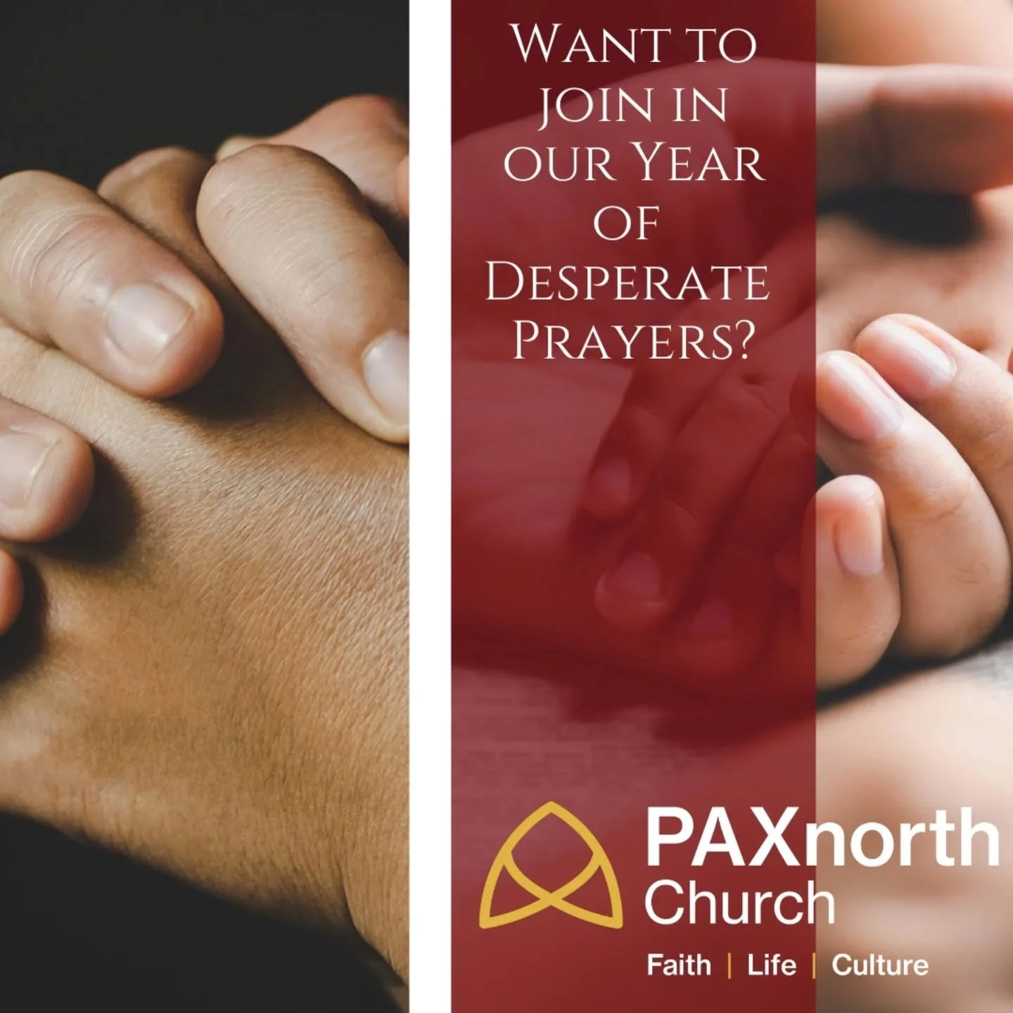 Want to join in with our year of desperate prayers? The last Sunday service of the month will be dedicated to prayer and training in prayer and our website has a page with guides and other resources you can use. 

We especially recommend checking out