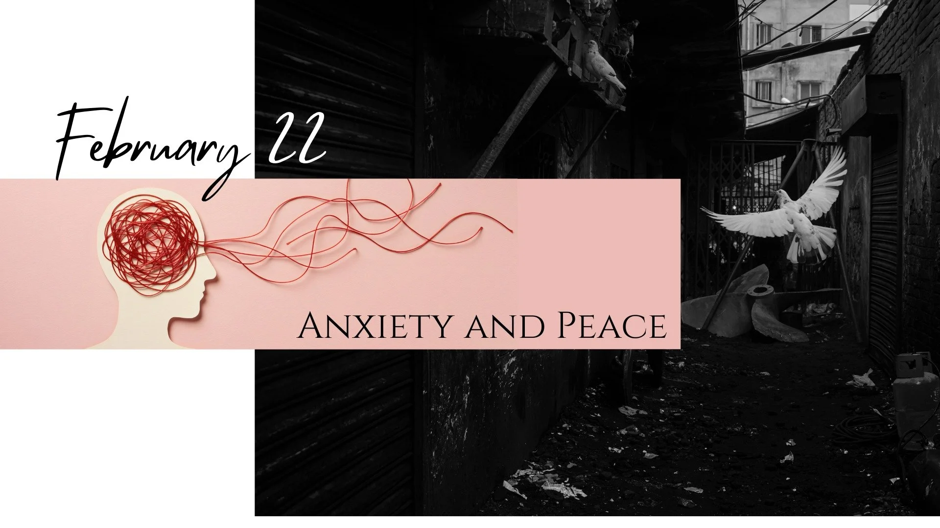 Today's service at 4pm is the second in our year of Desperate Prayers. We'll have an interactive walk through Psalm 37 as we learn how to pray through Anxiety and the source of Peace.