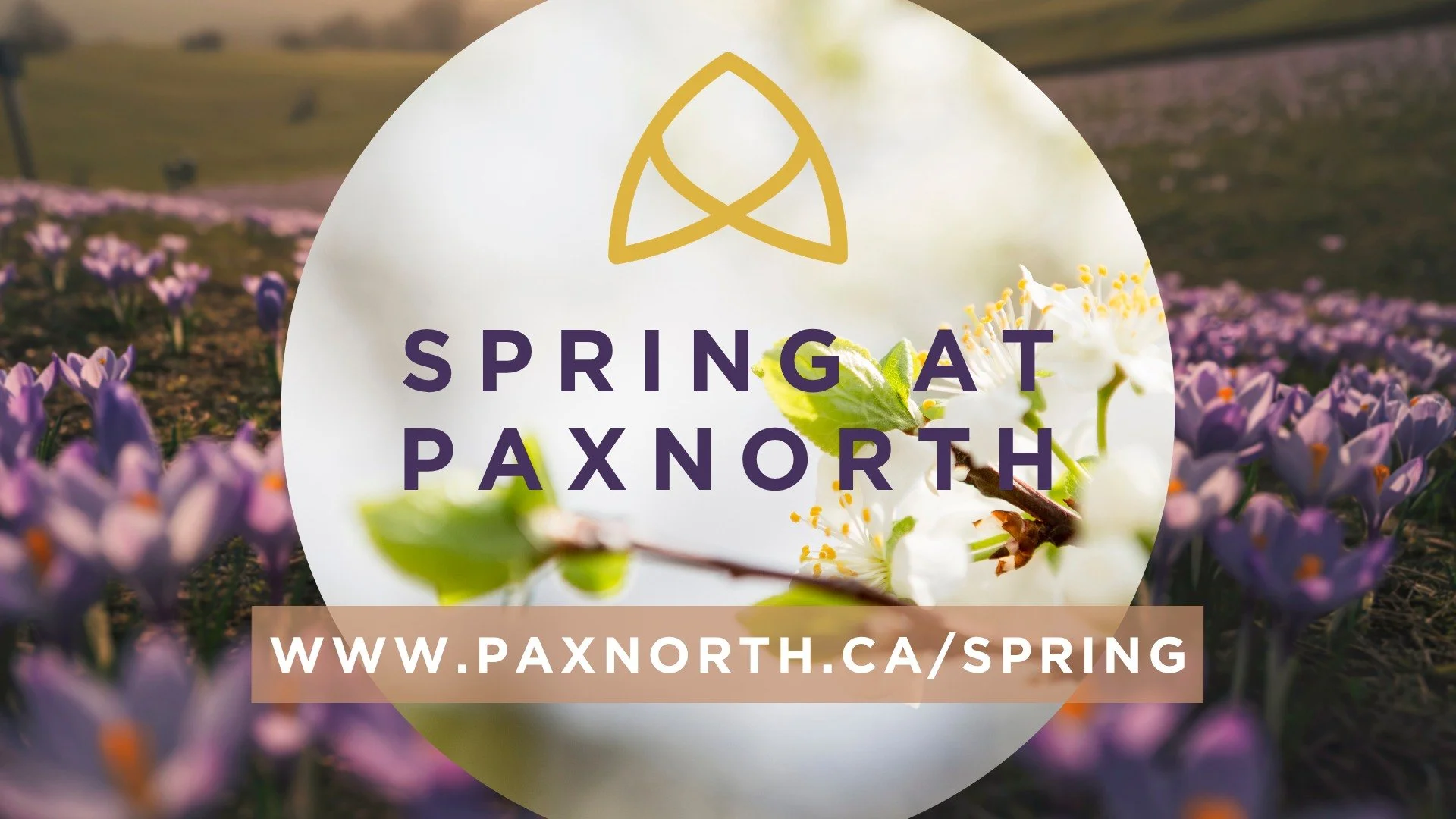 We have seasonal info on all the going-ons here at PAX: Women's Clothing Swap and Men's Breakfasts, Sunday Soups, Baptisms, a Youth Group Talent Night, and a Parenting Weekend. Go to www.paxnorth.ca/spring for all the ways you can connect in with us 