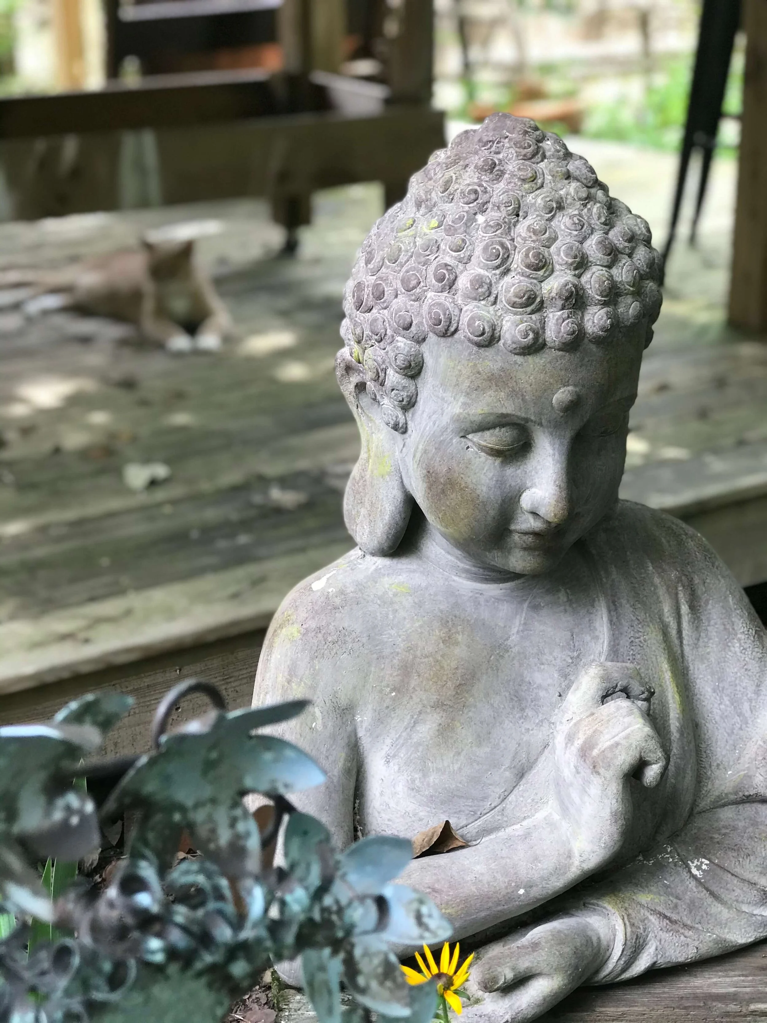 Contemplation by MaryAnna Richbourg