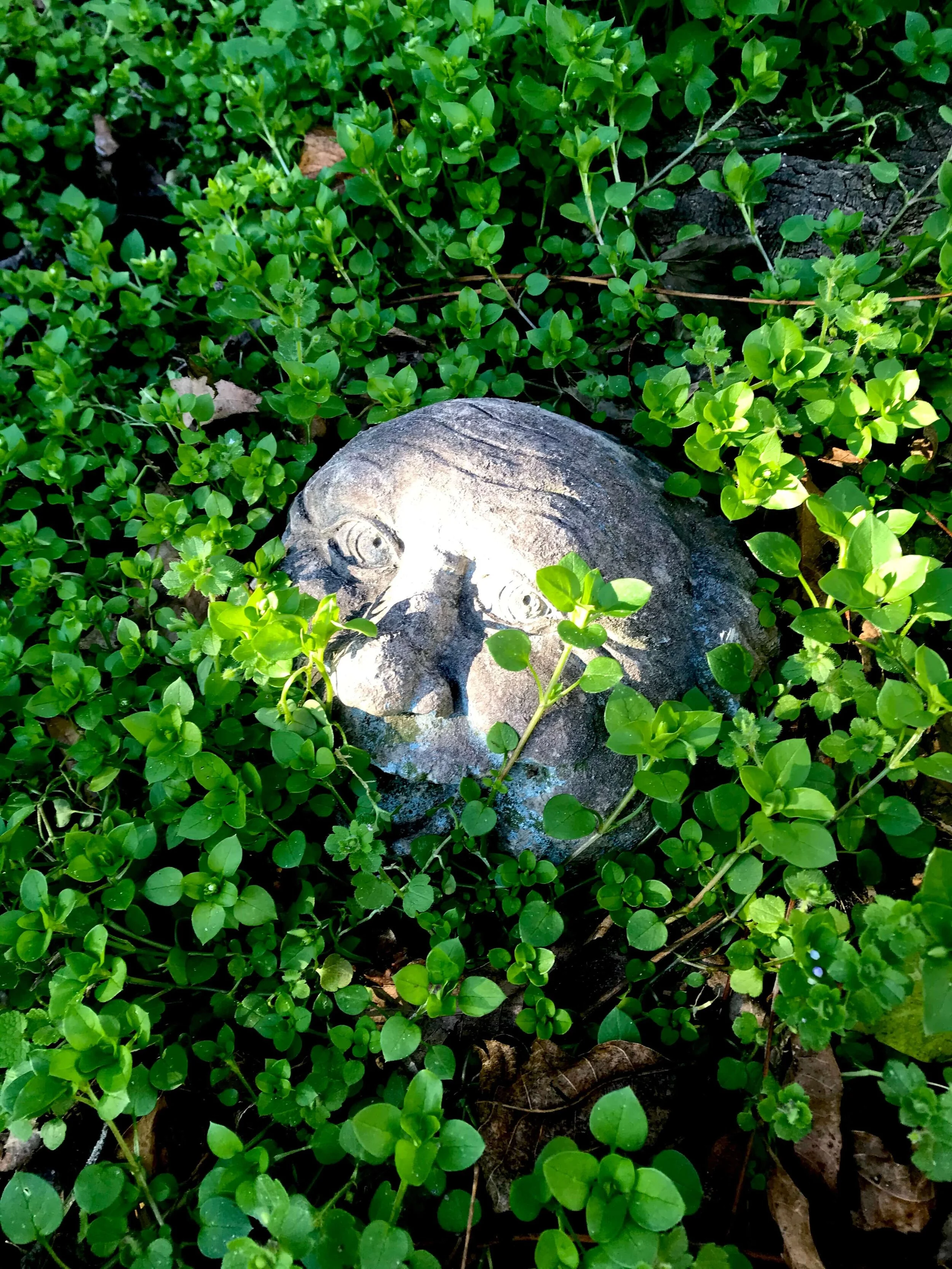 Dad In The Garden by MaryAnna Richbourg