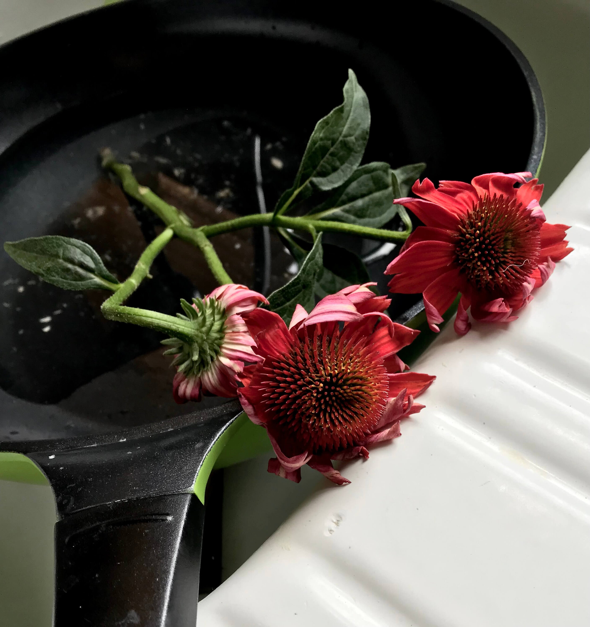 Flowers In The Frying Pan