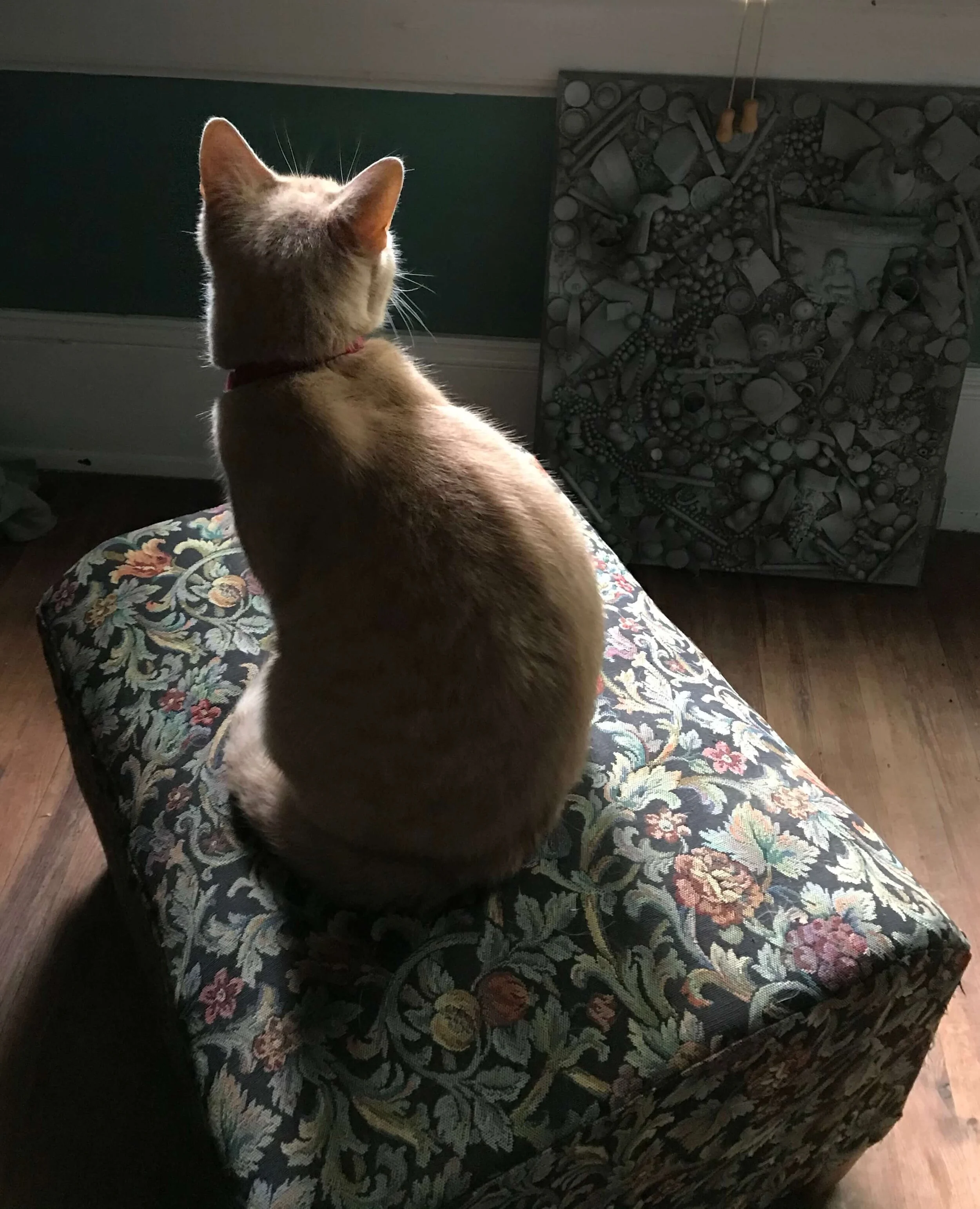  B’s Silhouette by MaryAnna Richbourg