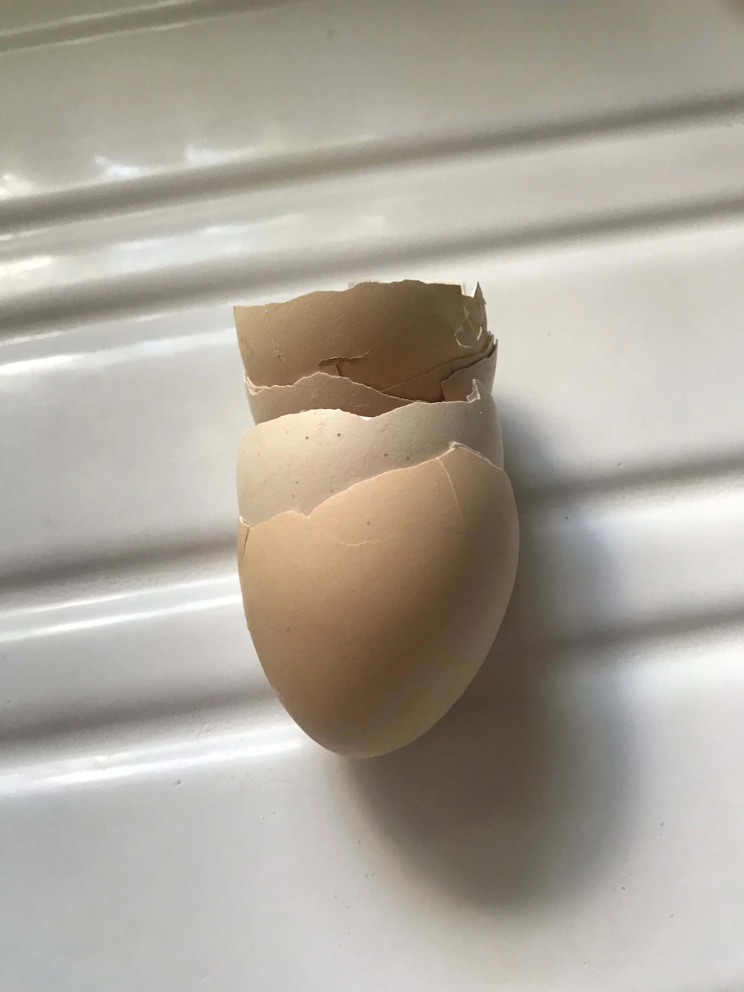 Egg Stack by MaryAnna Richbourg