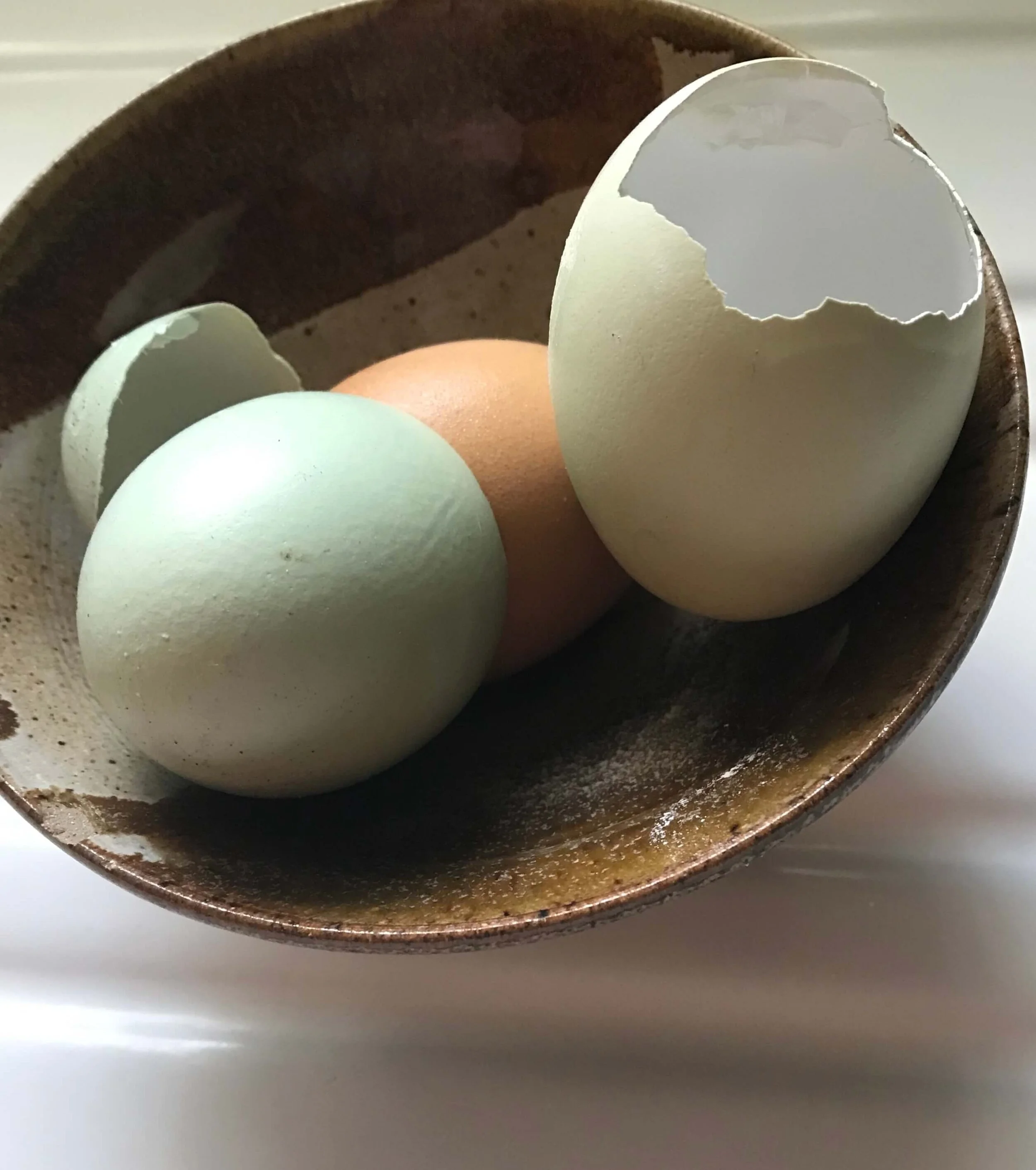 Cotton's Eggs by MaryAnna Richbourg