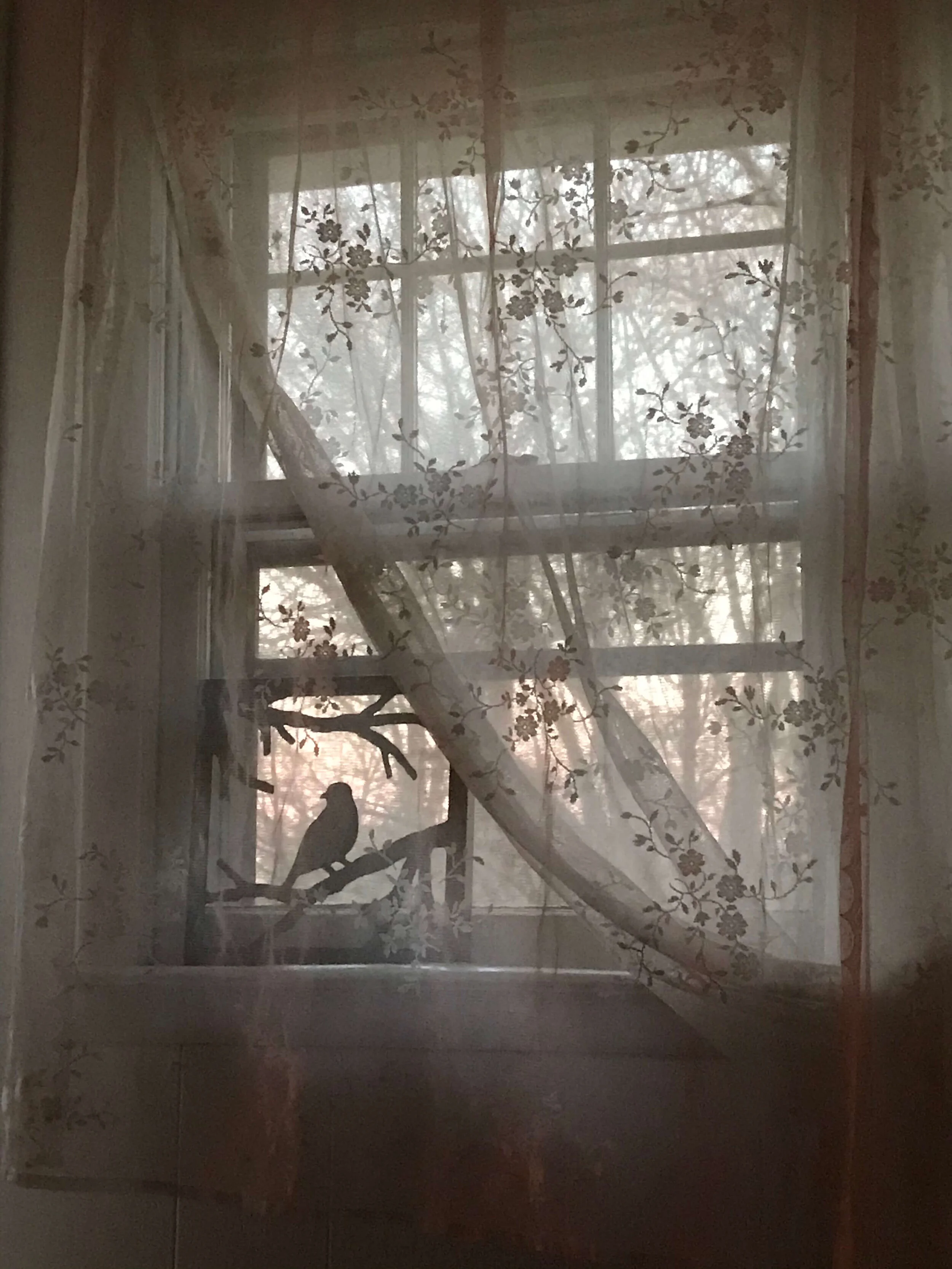 Lace Bird at Sunset By MaryAnna Richbourg