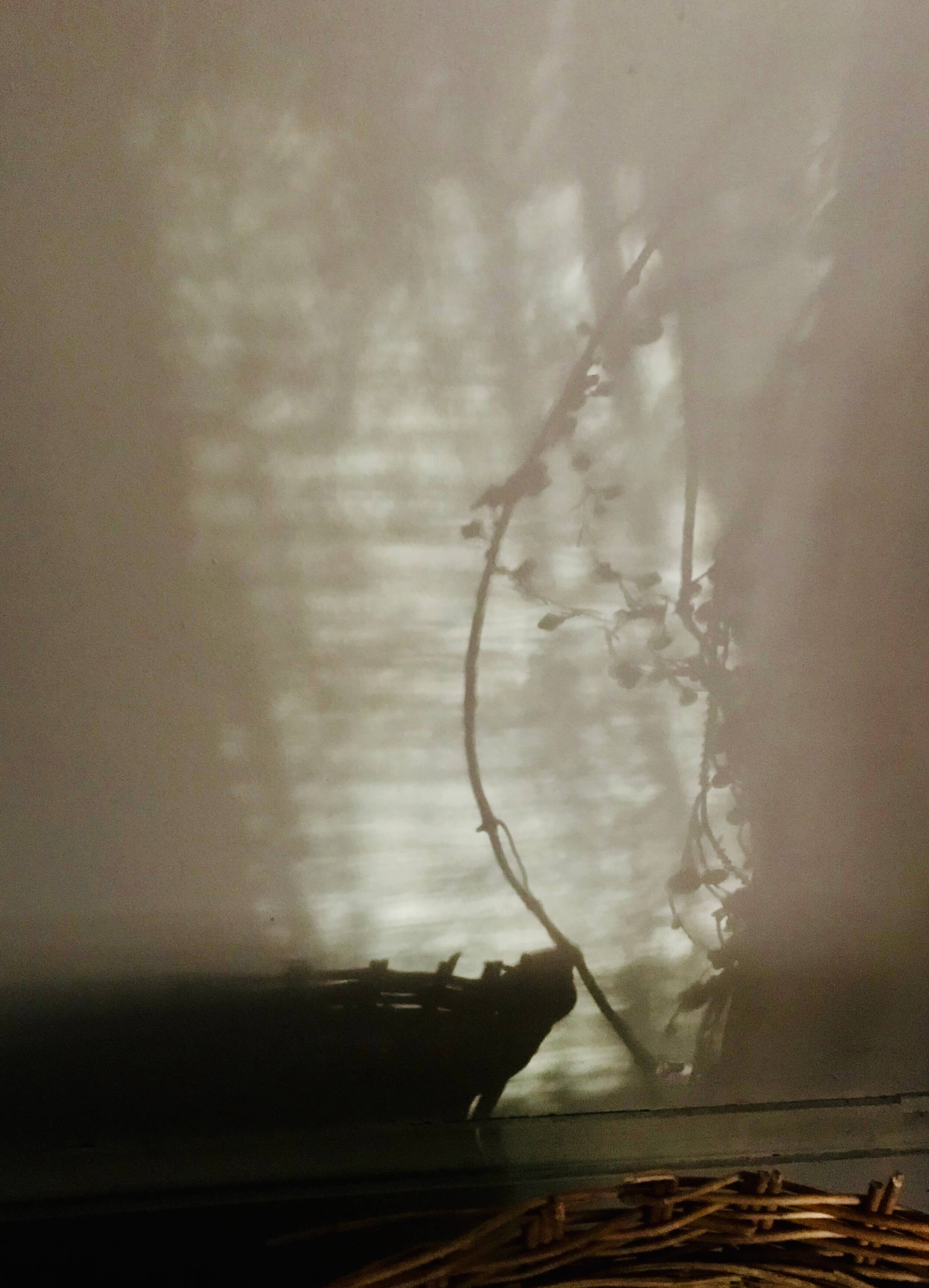 Vines and Baskets by MaryAnna Richbourg