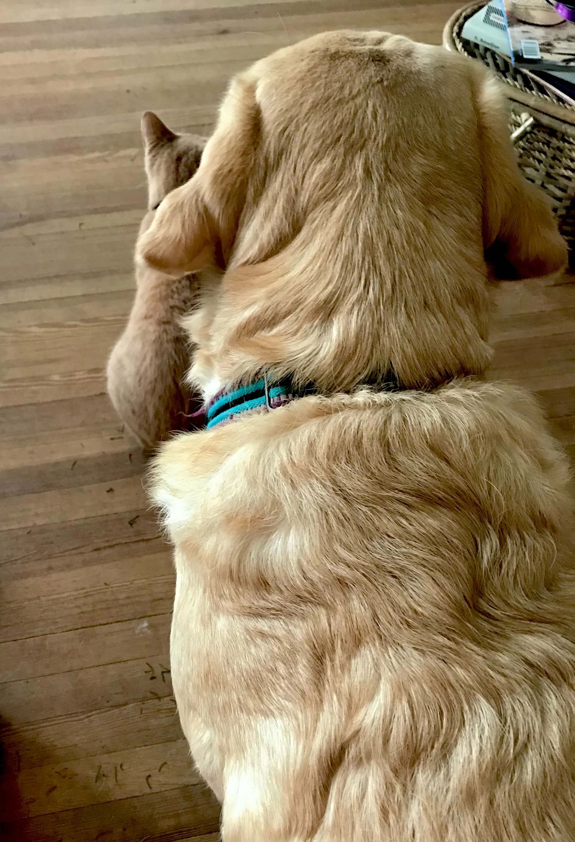 Standing at Attention