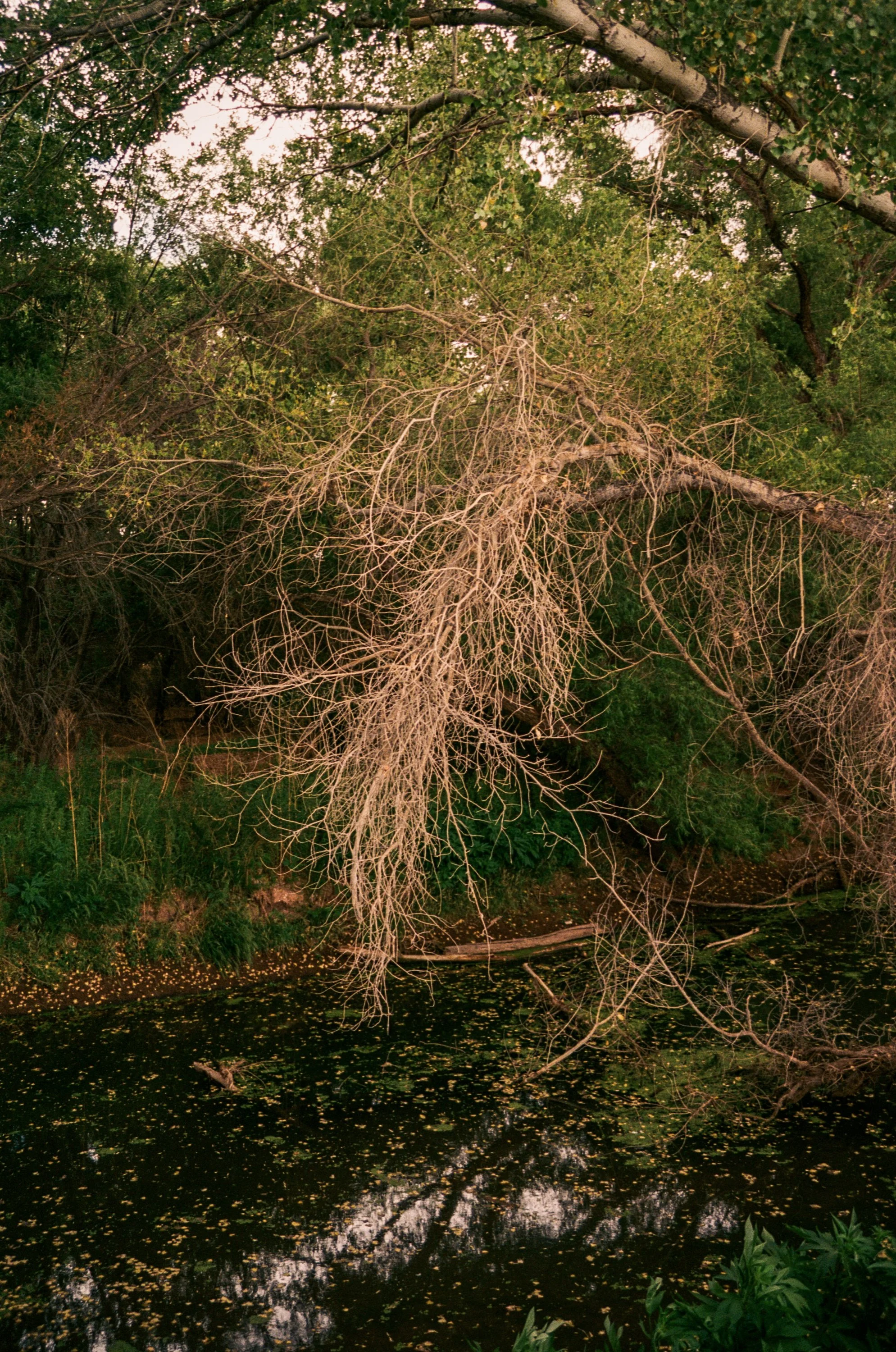 images rom the borderlands5.jpg