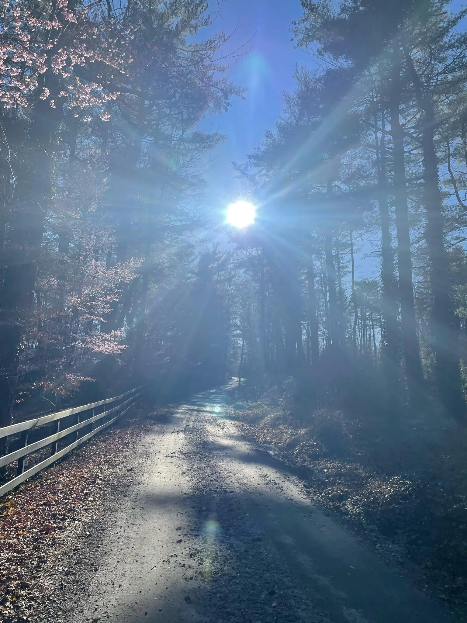 Reflections on His Faithfulness