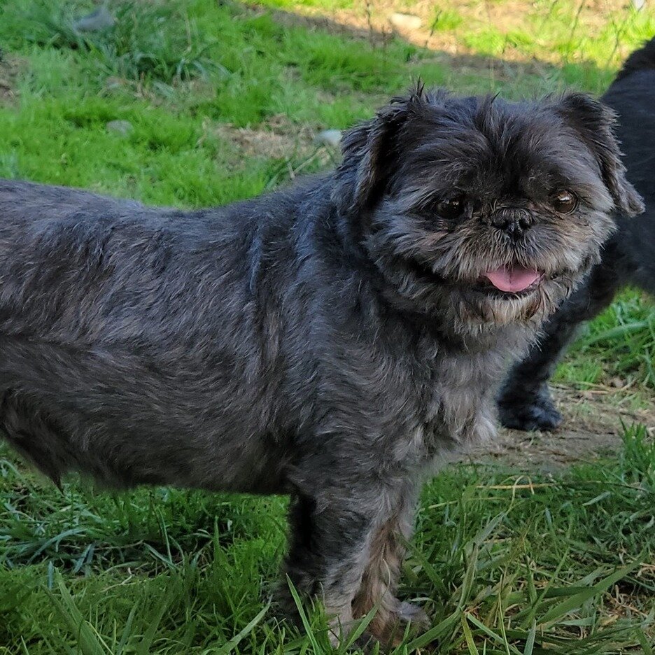 Benny's mustache is looking quite dapper