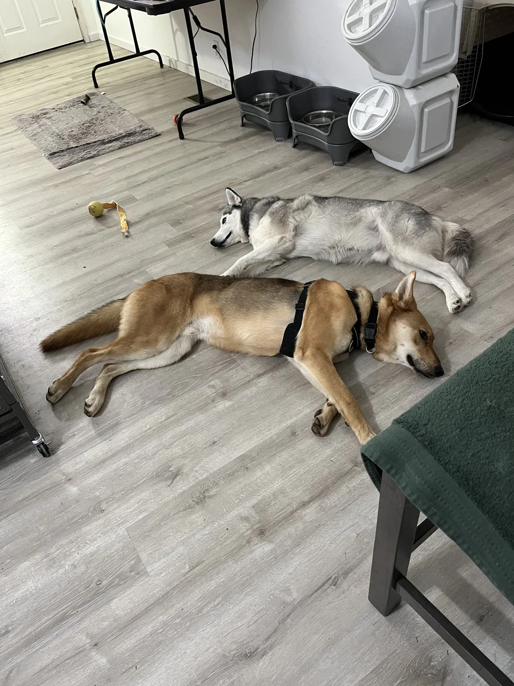 IMG_5305.JPEG
