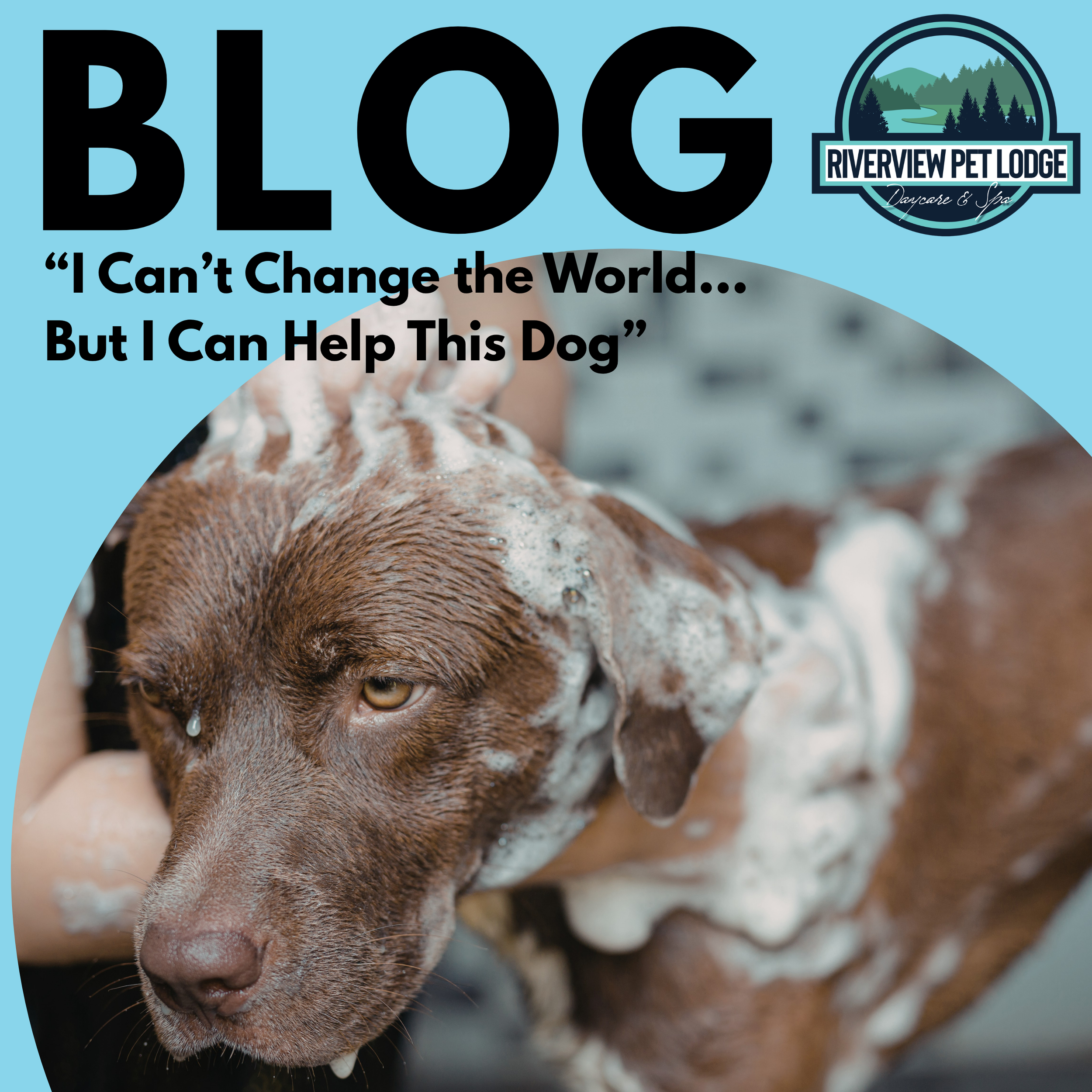 “I Can’t Change the World… But I Can Help This Dog”