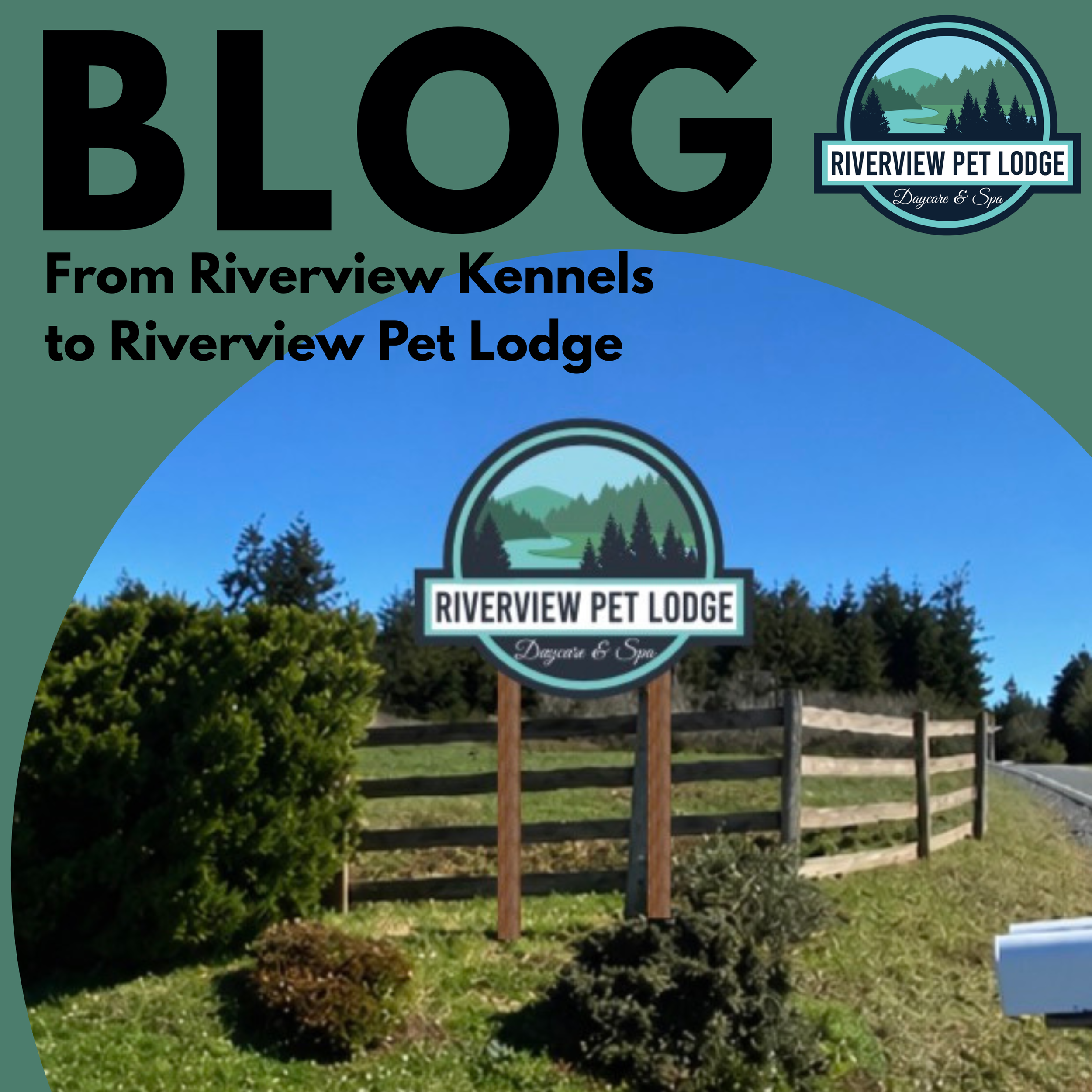 From Riverview Kennels to Riverview Pet Lodge