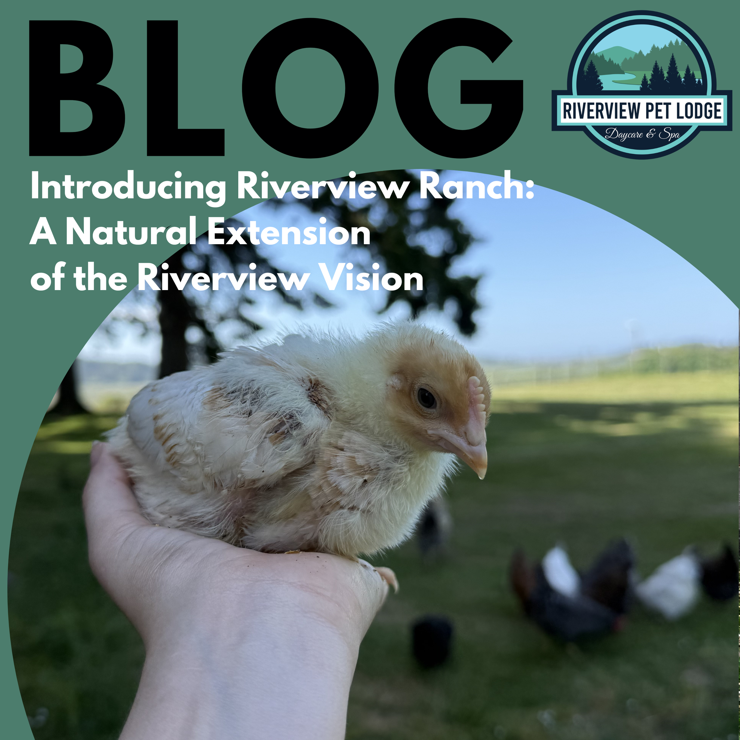 Introducing Riverview Ranch