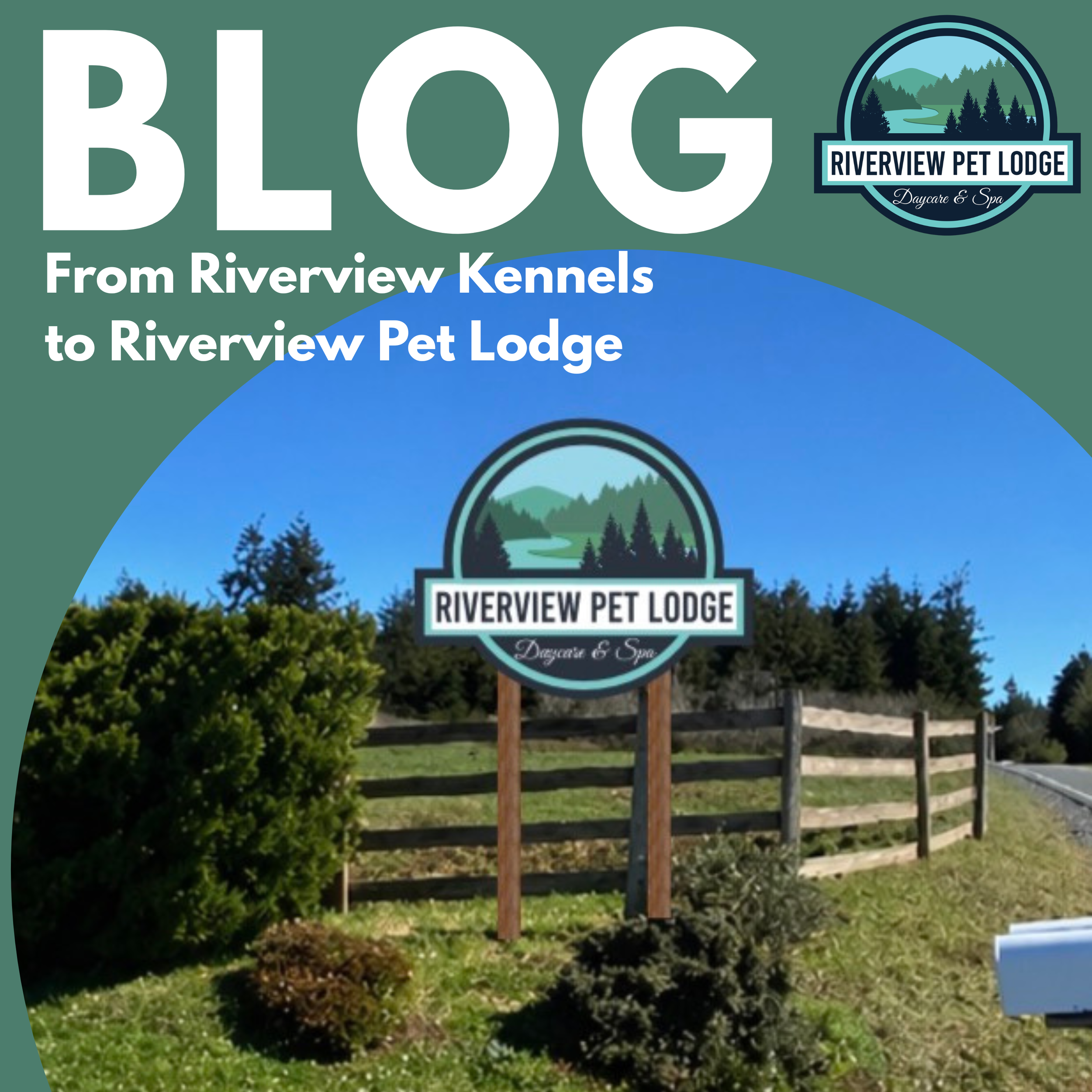 From Riverview Kennels to Riverview Pet Lodge