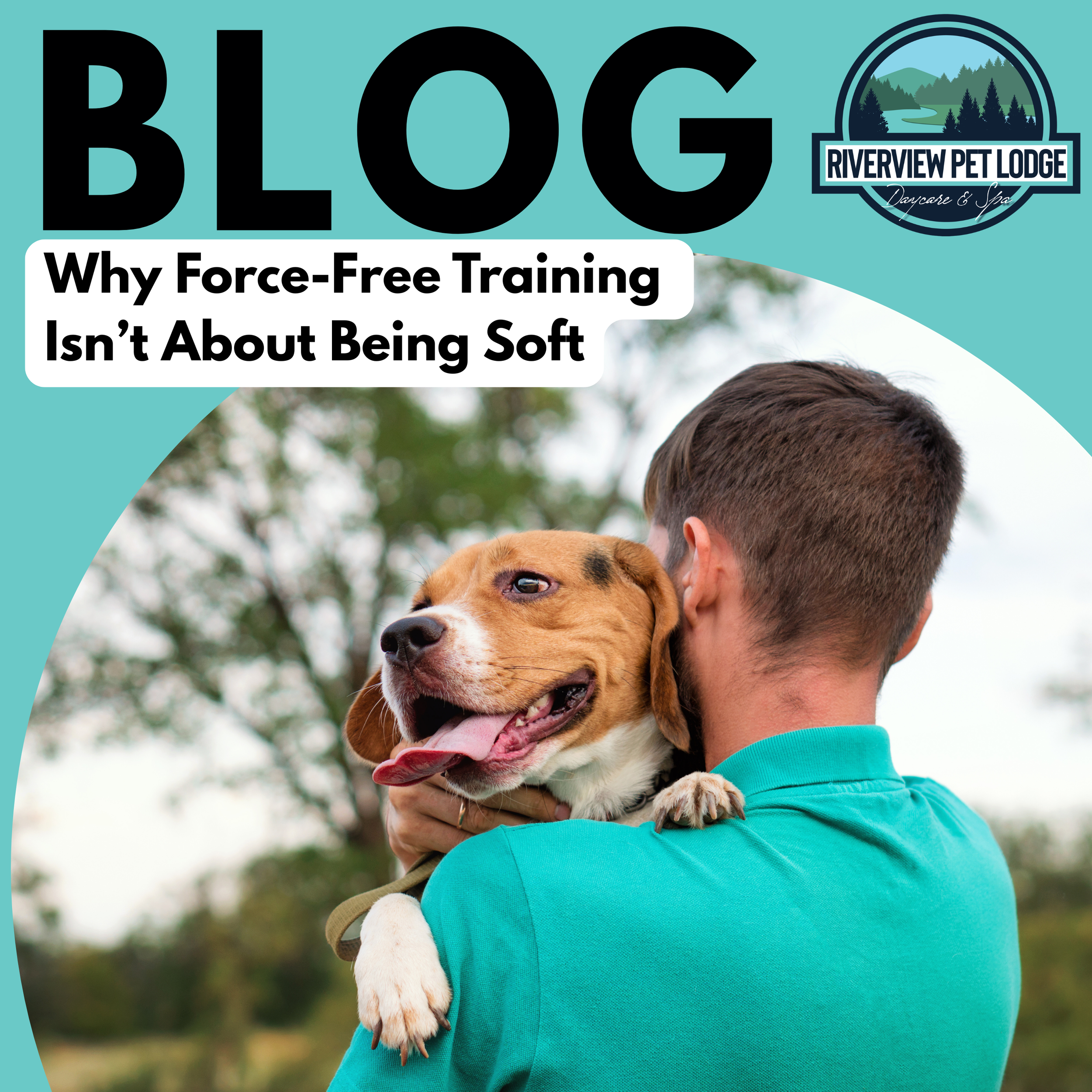 Why Force-Free Training Isn’t About Being Soft