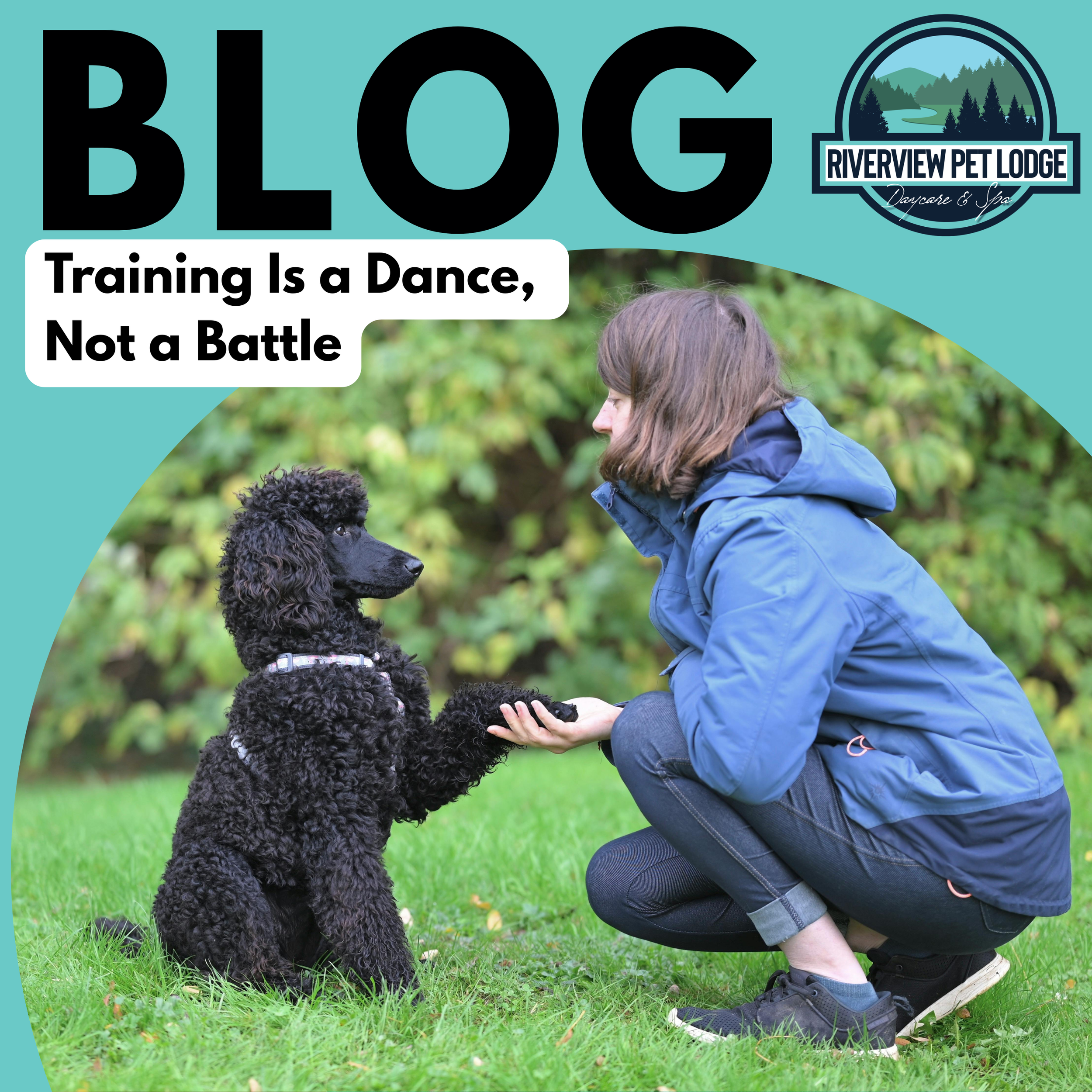 Training Is a Dance, Not a Battle
