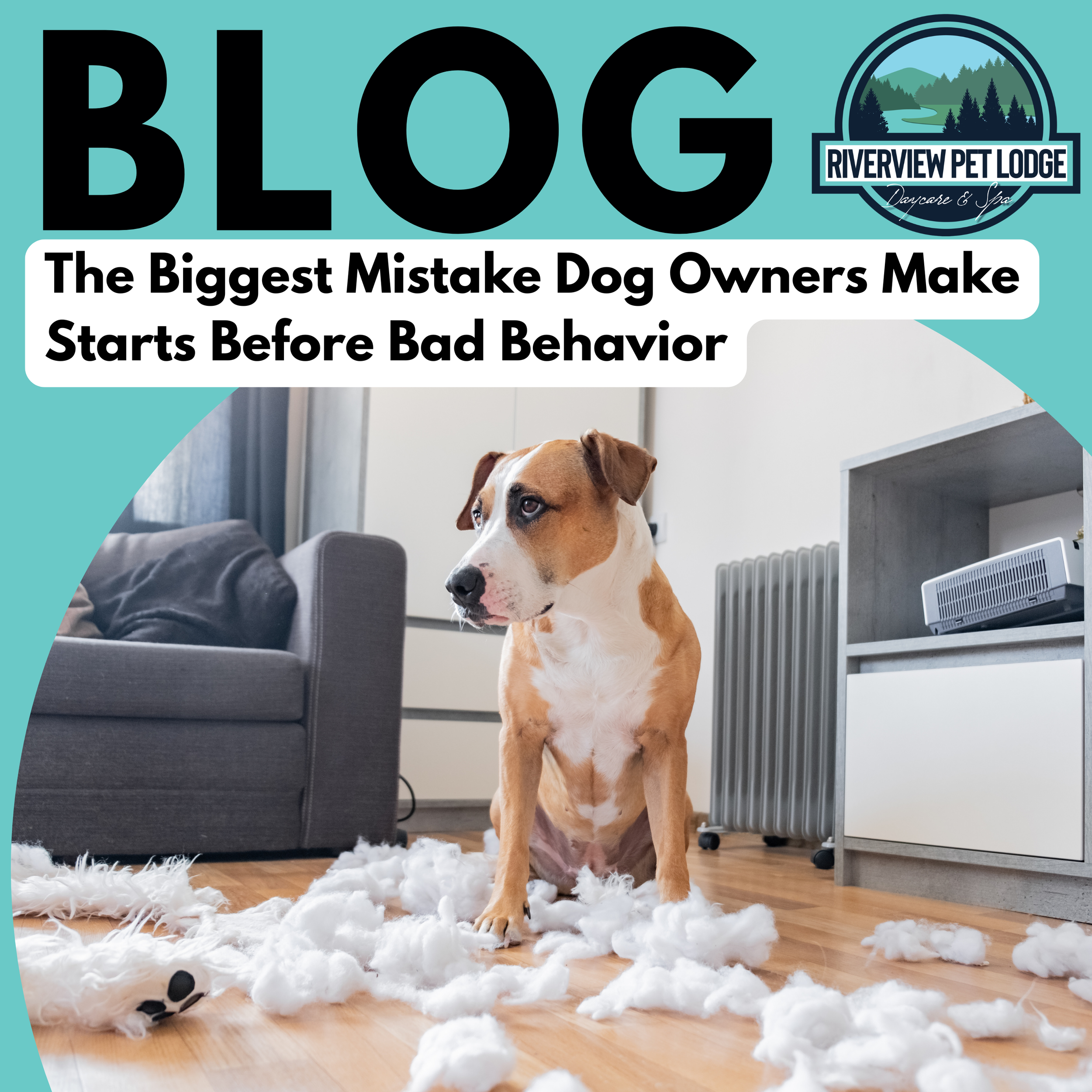 The Biggest Mistake Dog Owners Make Starts Before Bad Behavior
