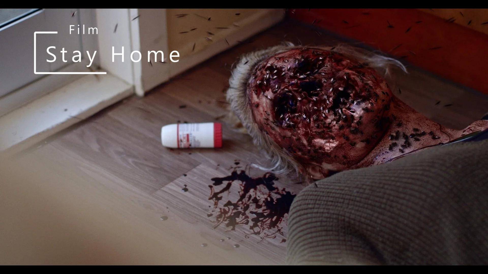 Stay Home_1.25.1.jpg
