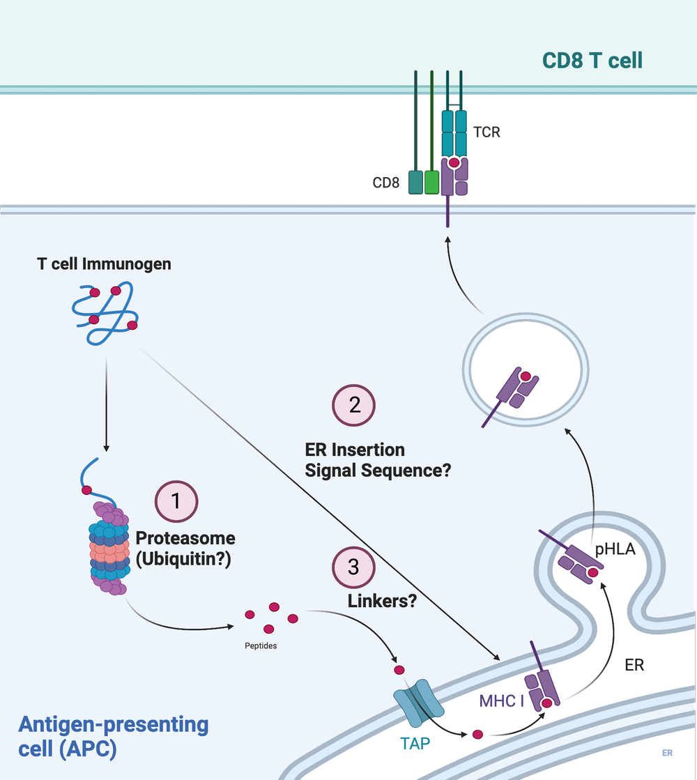 Vaccine Platform — Gaiha Lab