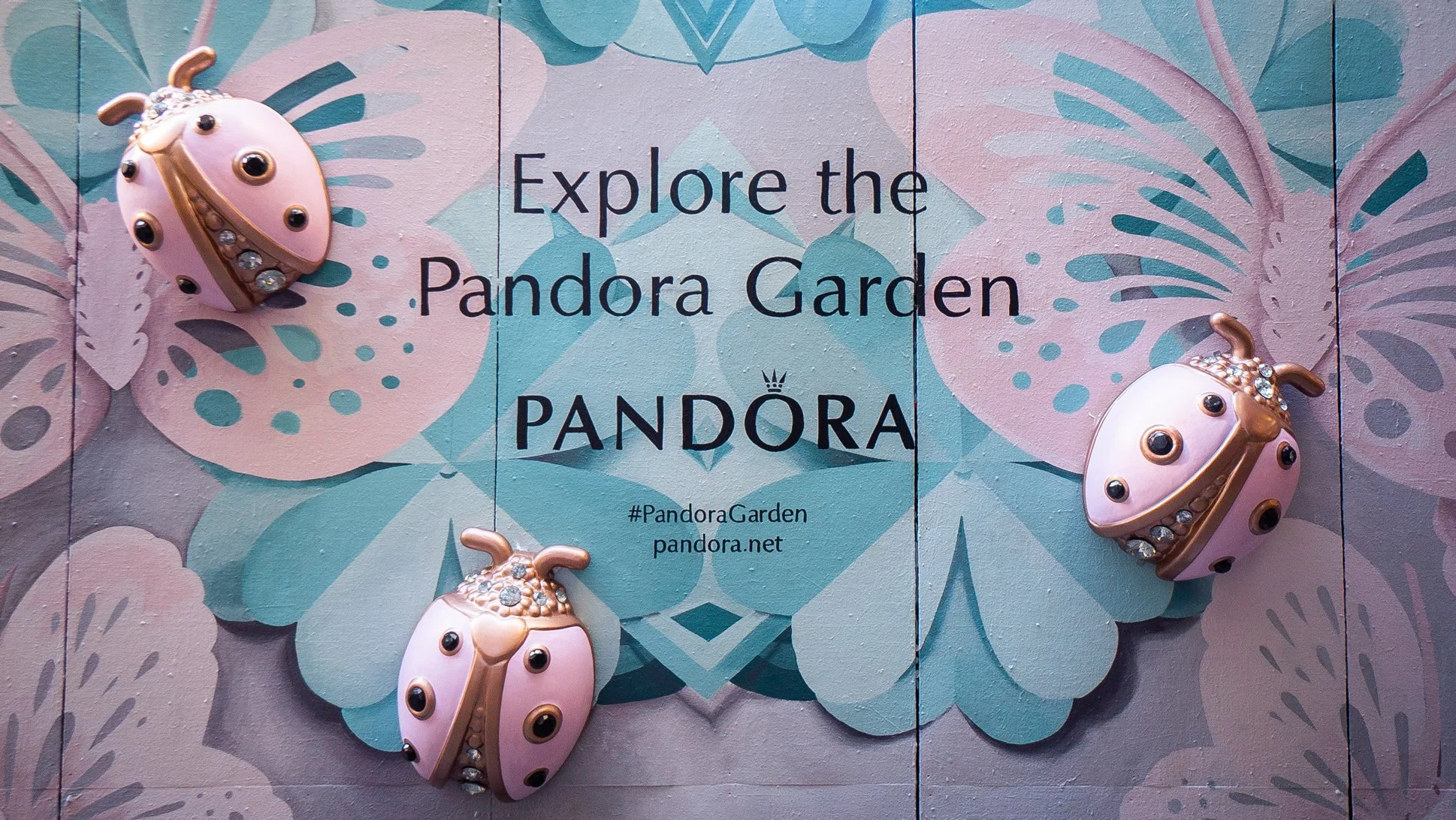 Pandora