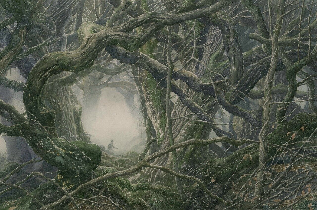 Hairy Feet Waitomo / Trollshaws Forest - Hobbit Location