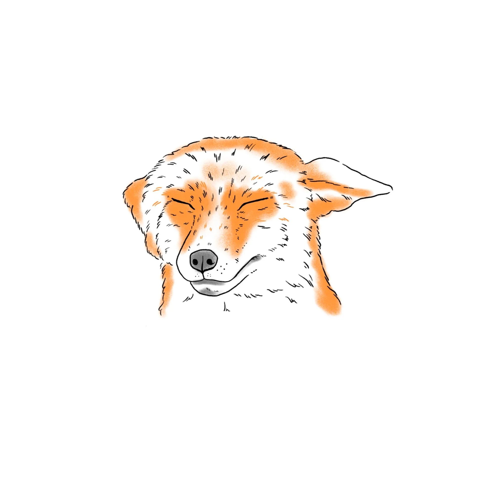 fox with shut eyes- 3 inch minimum