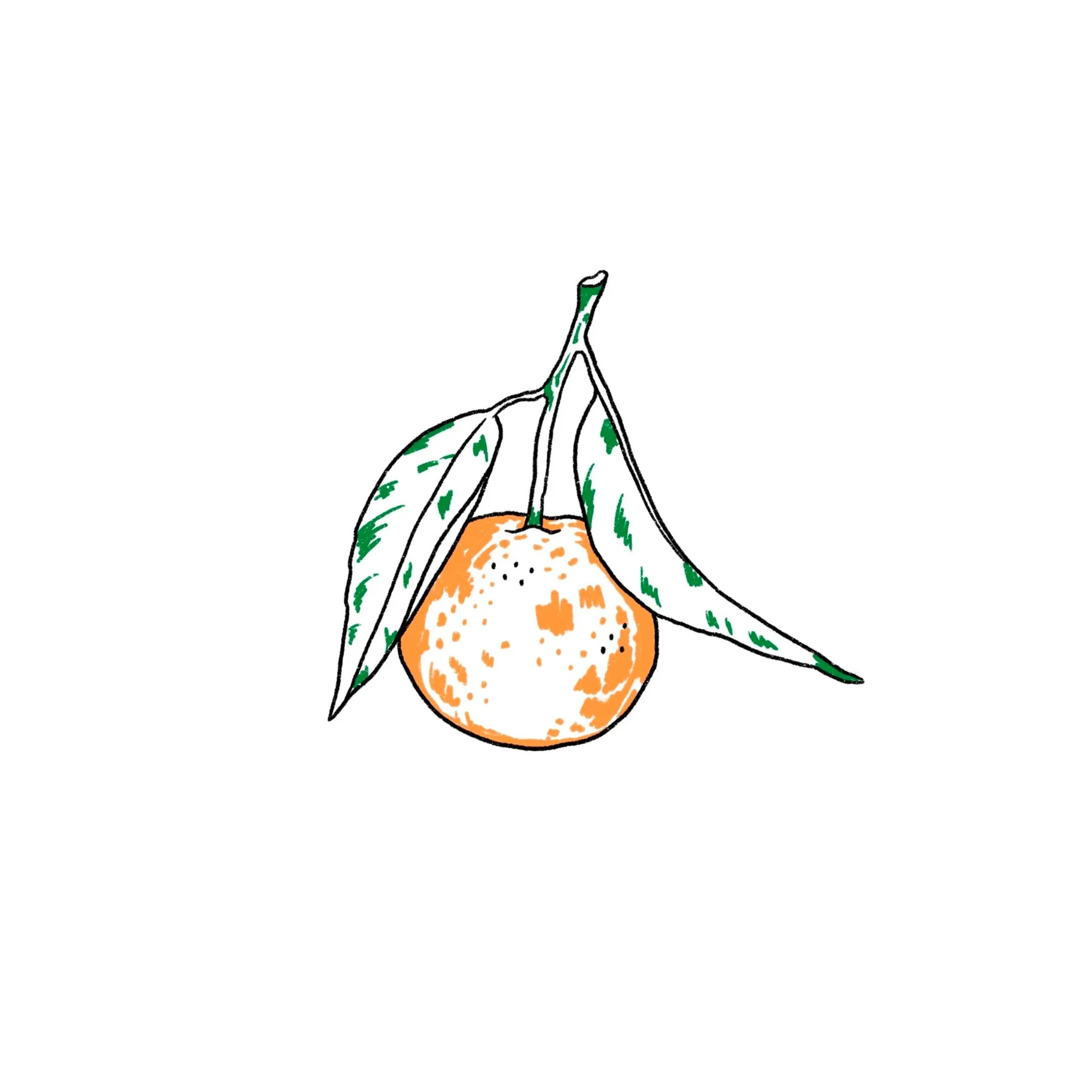 handpoke orange- 3 inch minimum