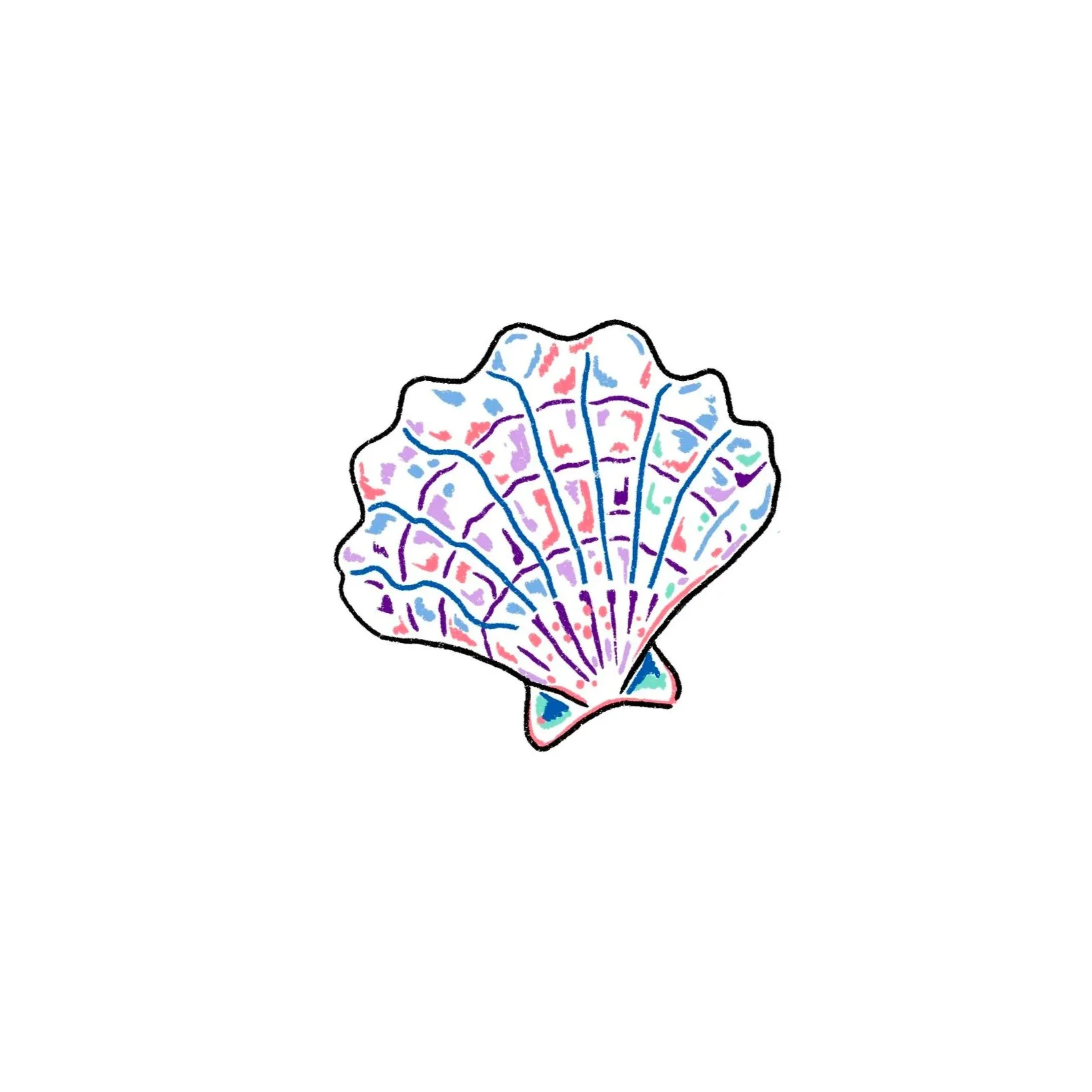 rainbow seashell- 2.5 inches minimum