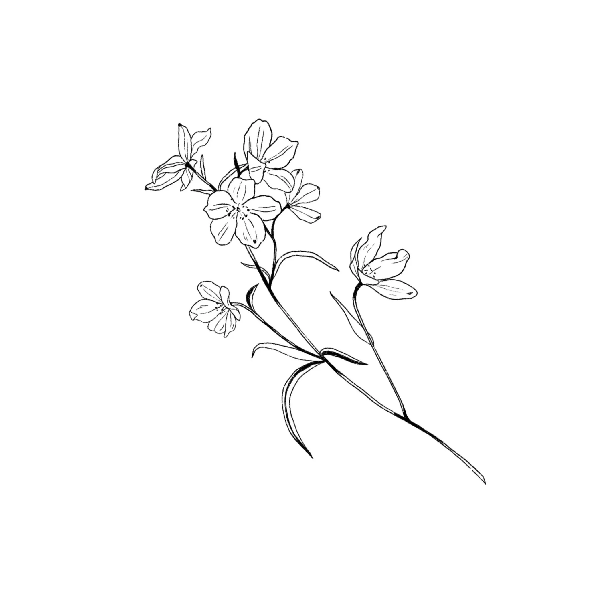 blue delphinium flower- 4.5 inches minimum